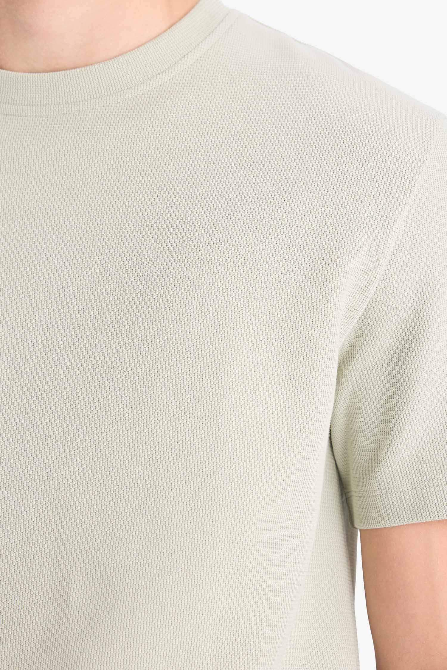 Regular Fit Crew Neck Basic Heavy Fabric T-Shirt