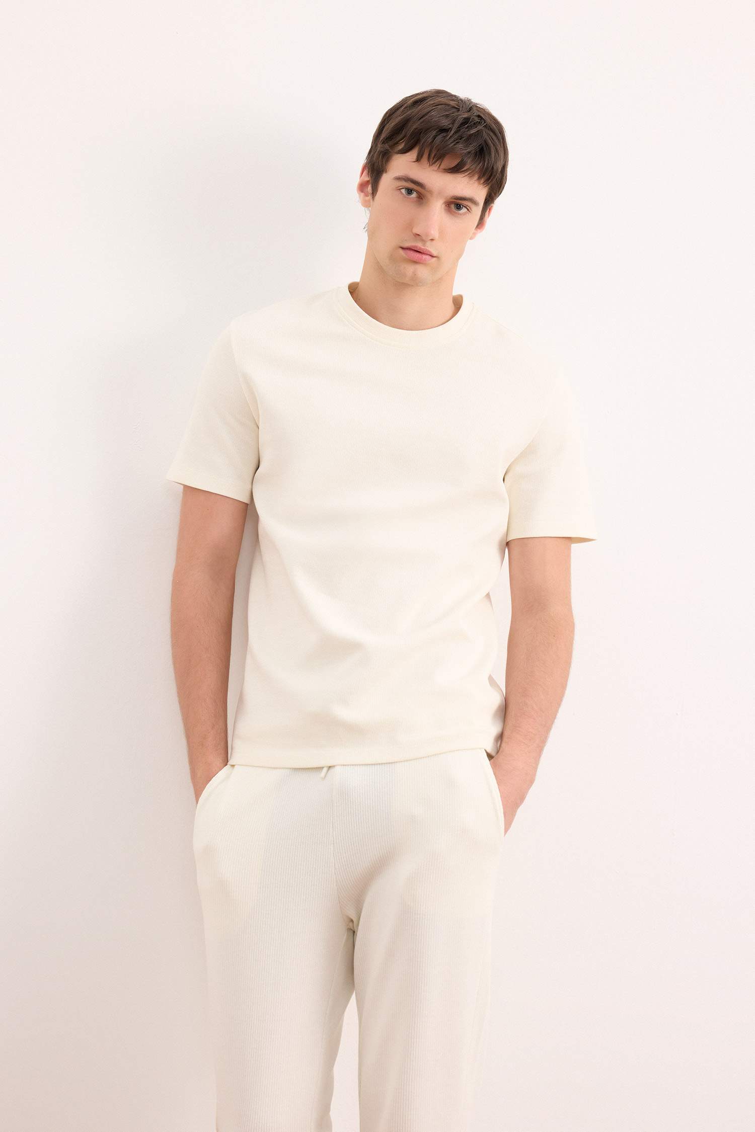 Regular Fit Bisiklet Yaka Kısa Kollu Pamuklu Ağır Kumaş Tişört