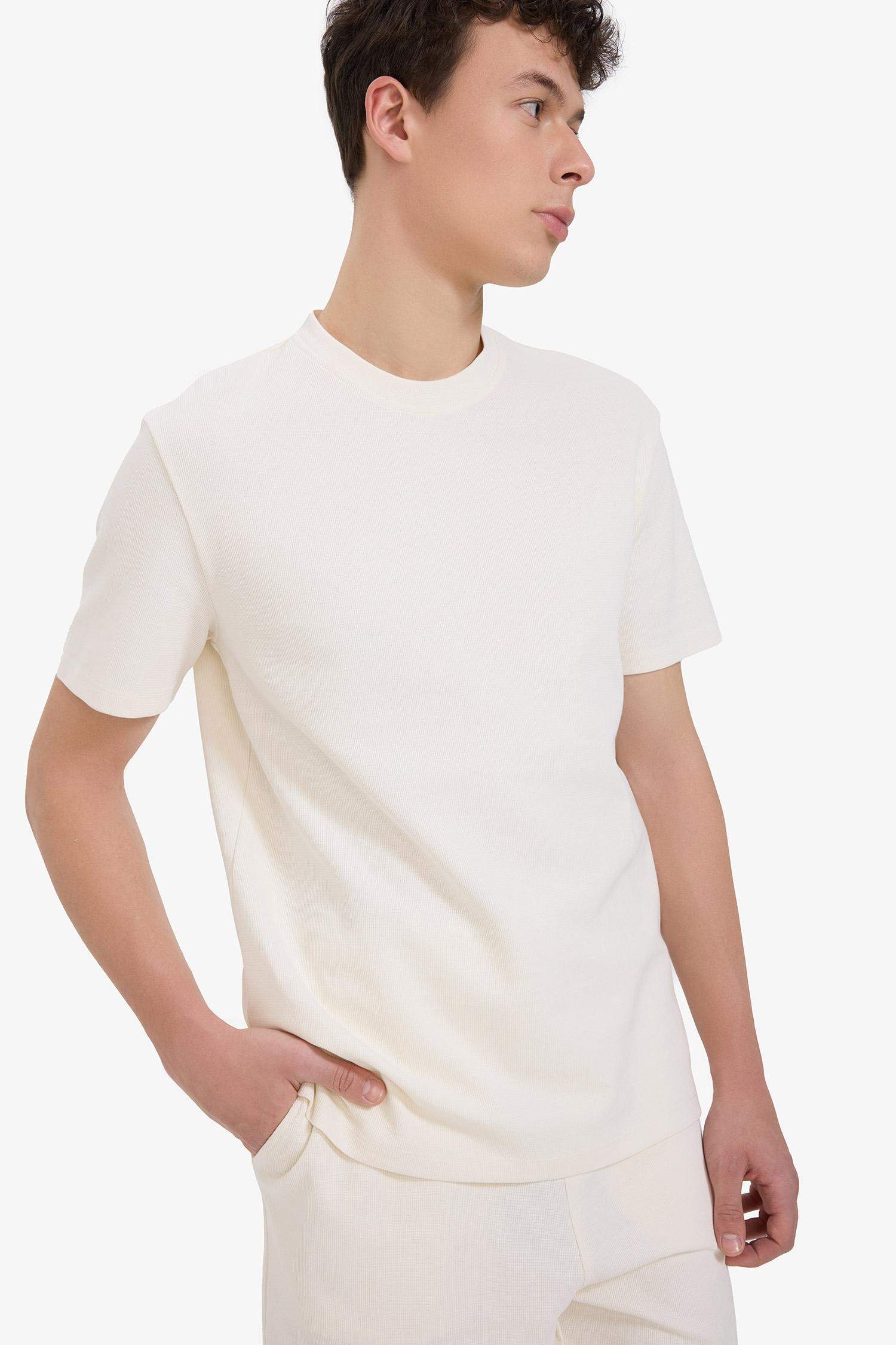 Regular Fit Bisiklet Yaka Kısa Kollu Pamuklu Ağır Kumaş Tişört