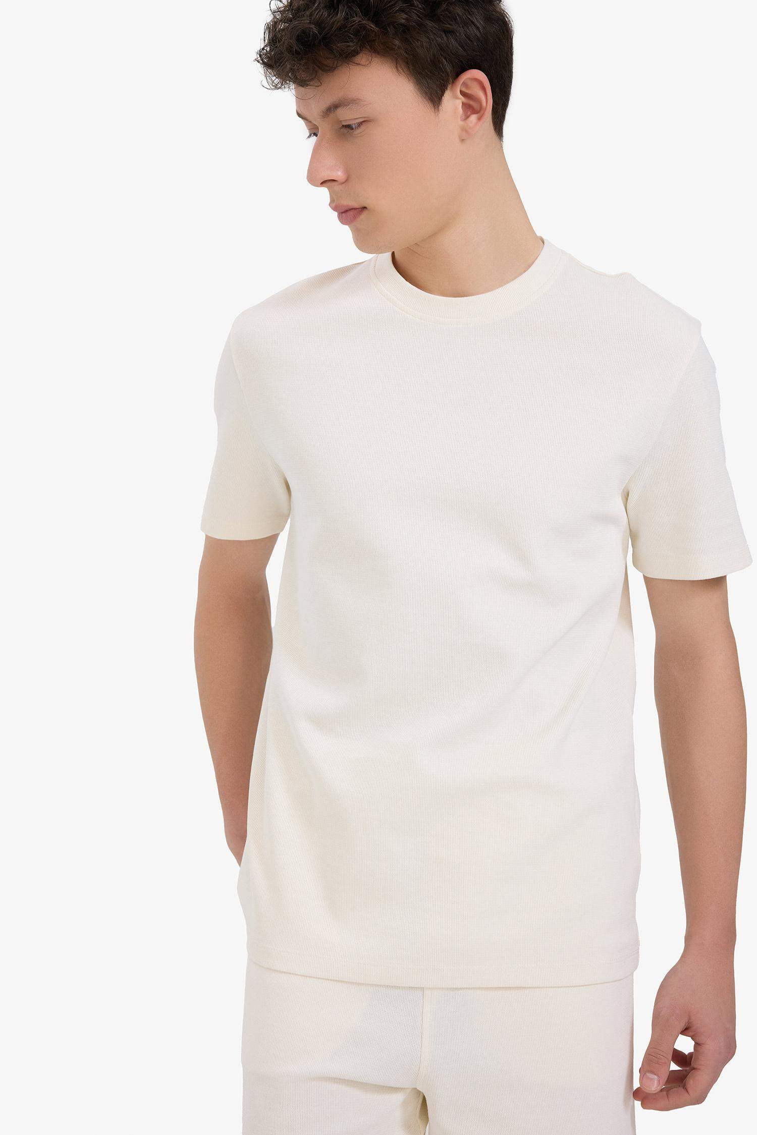 Regular Fit Bisiklet Yaka Kısa Kollu Pamuklu Ağır Kumaş Tişört