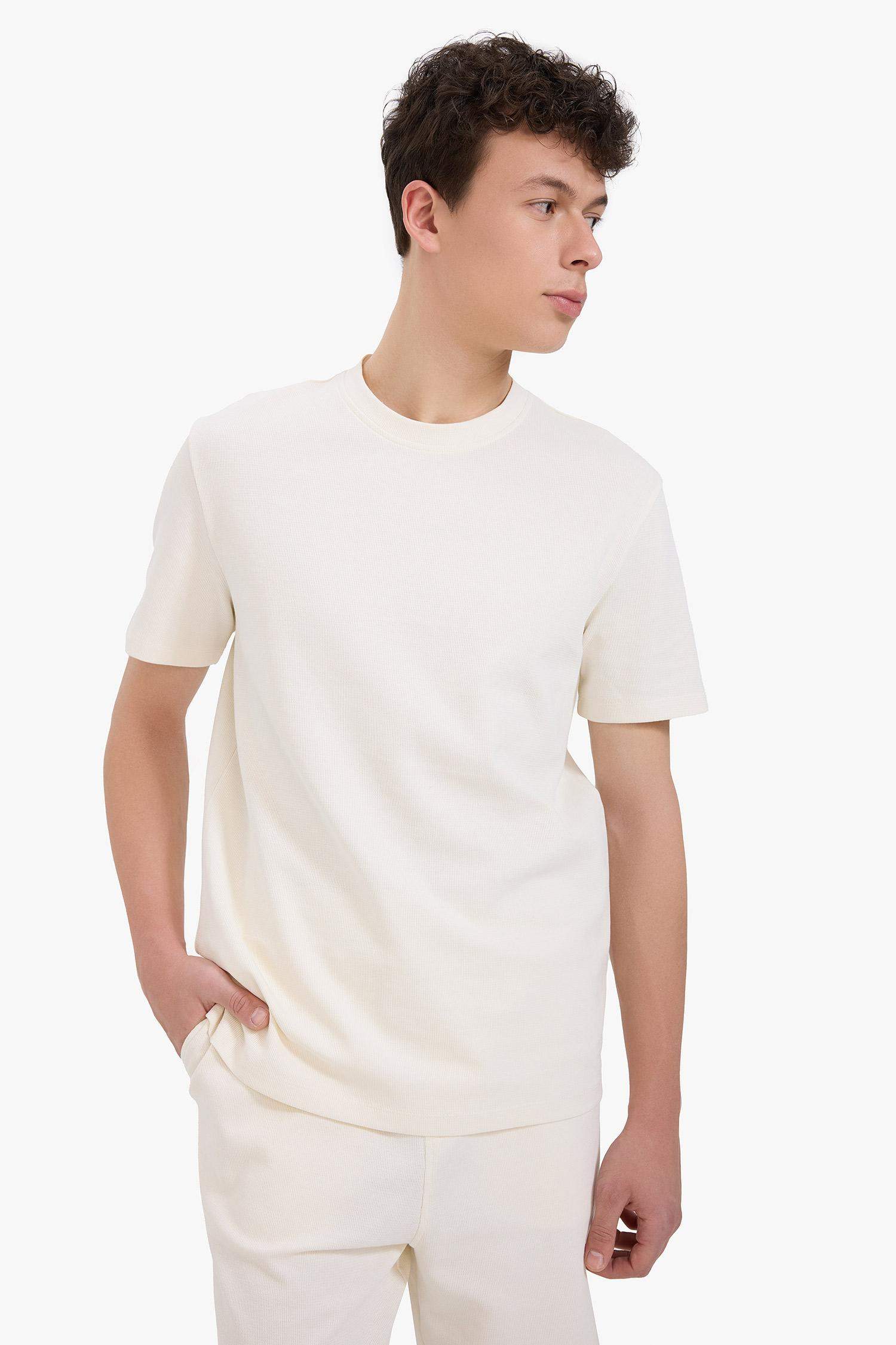 Regular Fit Bisiklet Yaka Kısa Kollu Pamuklu Ağır Kumaş Tişört