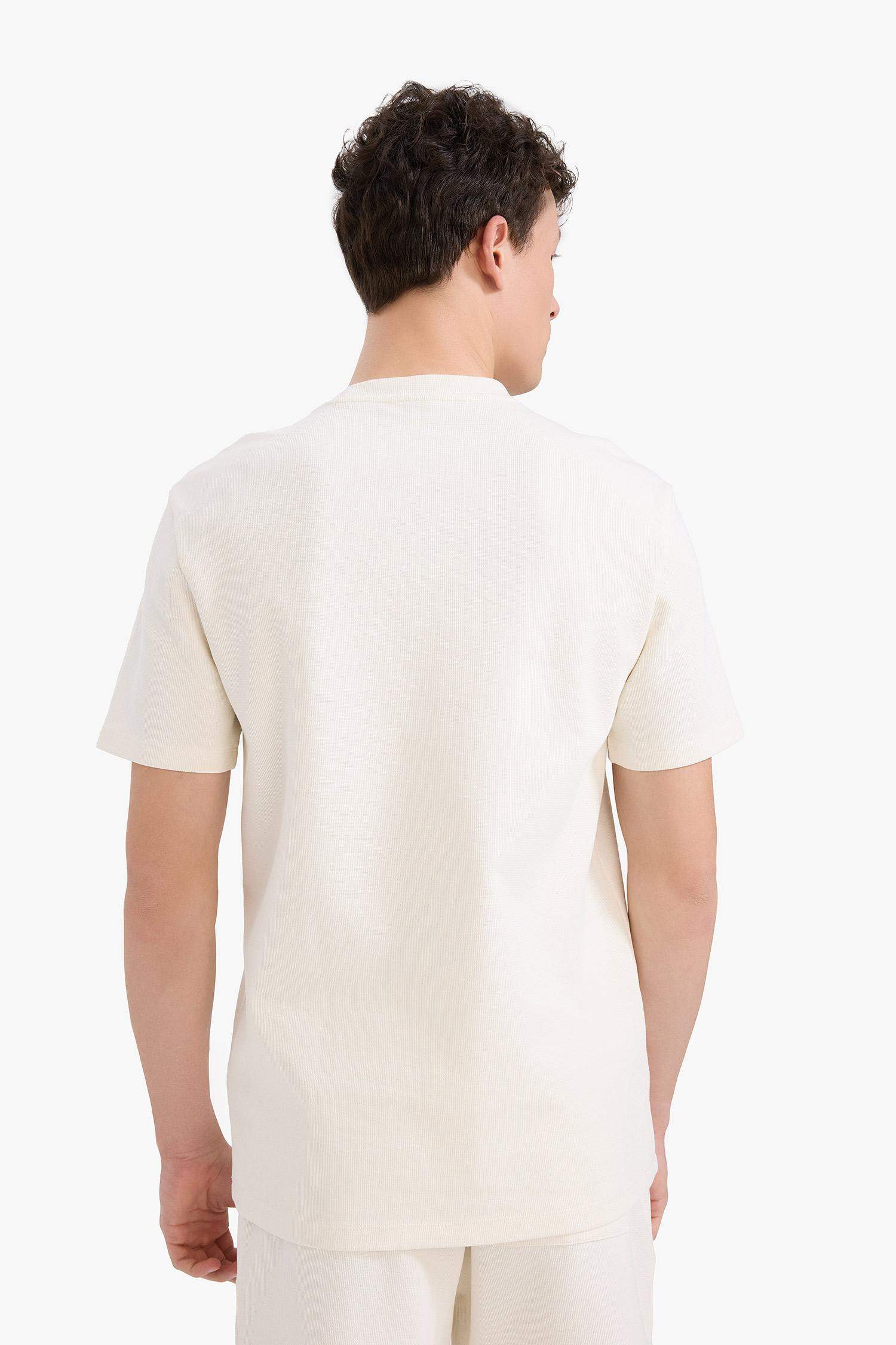 Regular Fit Bisiklet Yaka Kısa Kollu Pamuklu Ağır Kumaş Tişört