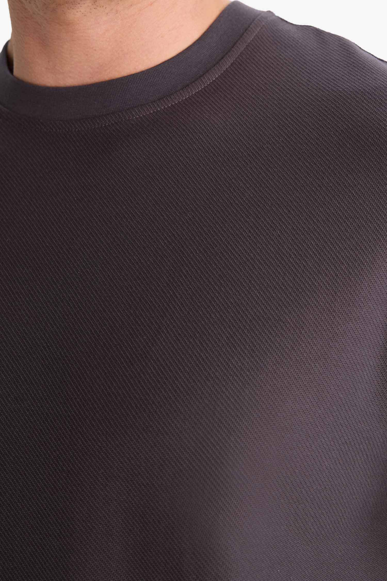 %100 Pamuk Regular Fit Bisiklet Yaka Kısa Kollu Ağır Kumaş Tişört