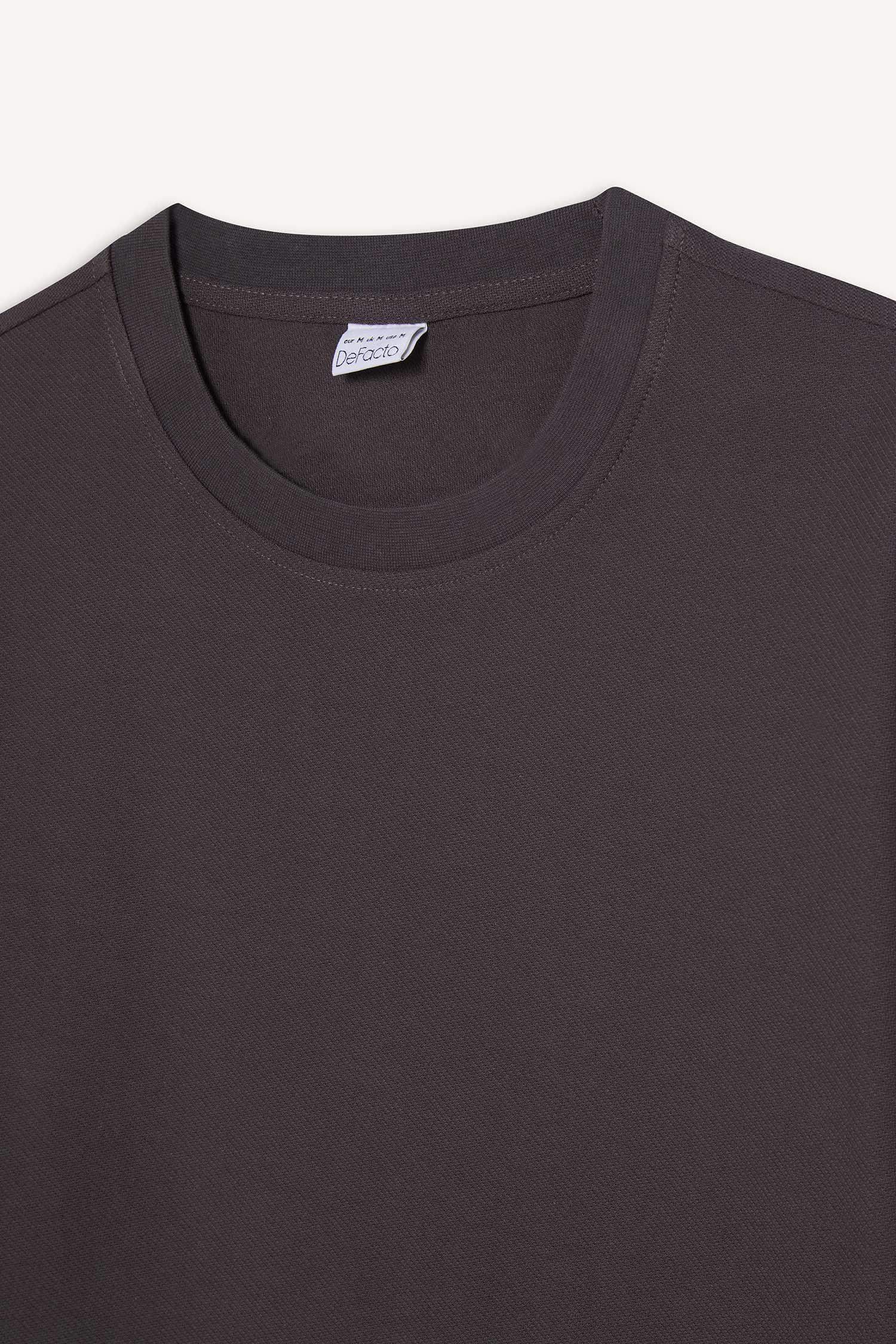 %100 Pamuk Regular Fit Bisiklet Yaka Kısa Kollu Ağır Kumaş Tişört