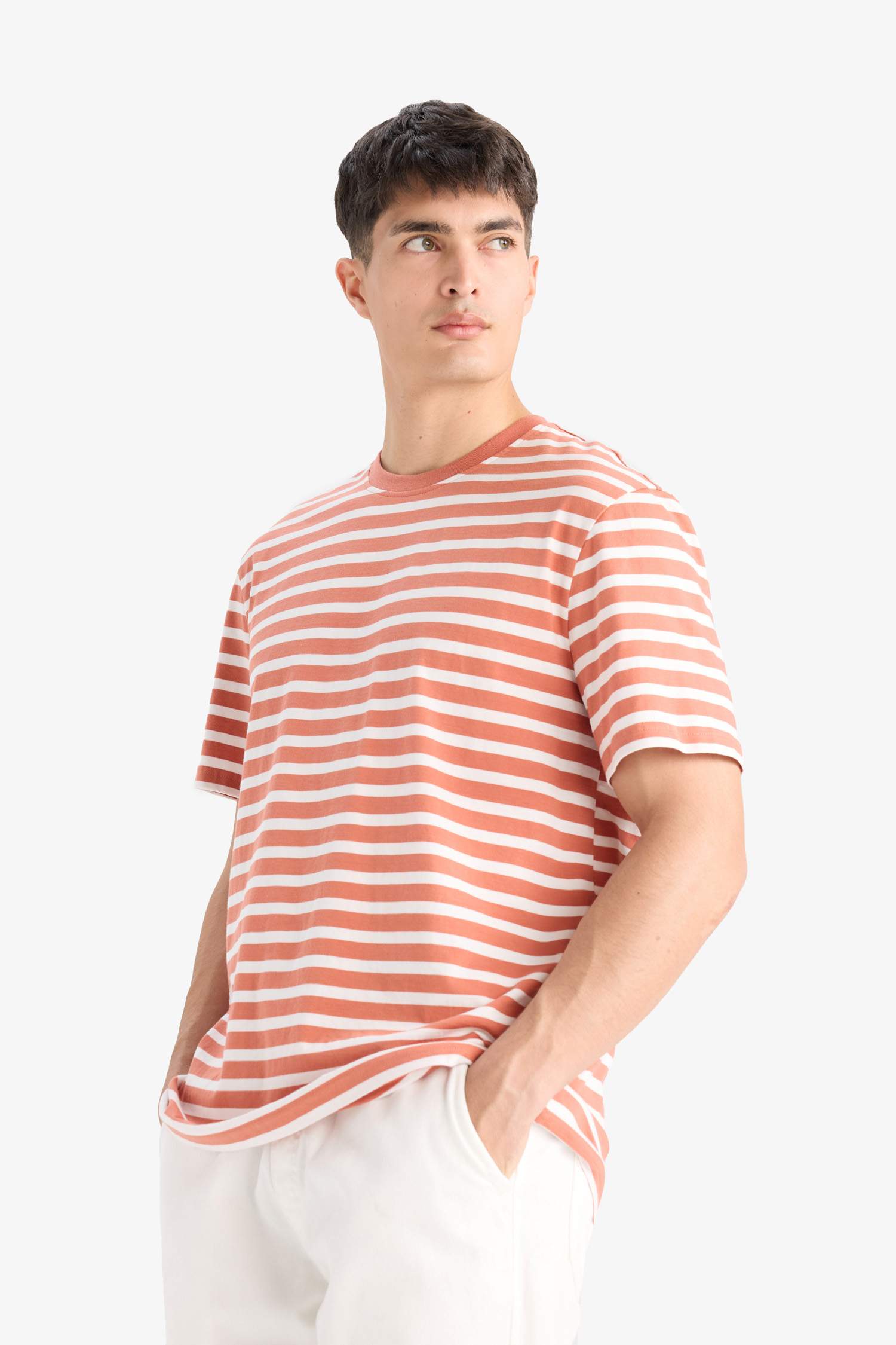 %100 Pamuk Regular Fit Bisiklet Yaka Kısa Kollu Çizgili Tişört