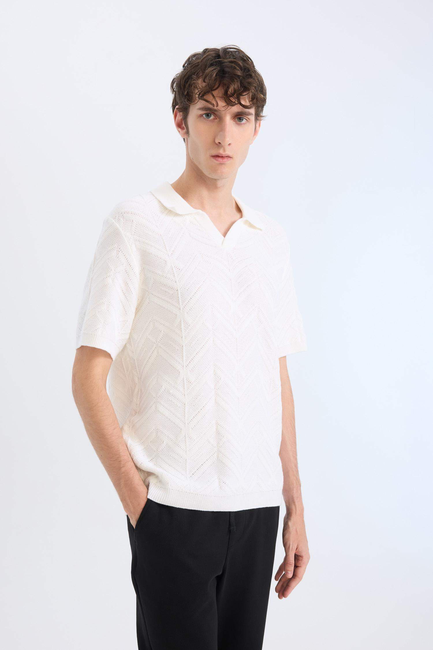 Standart Fit Polo Yaka Triko Kısa Kollu Tişört