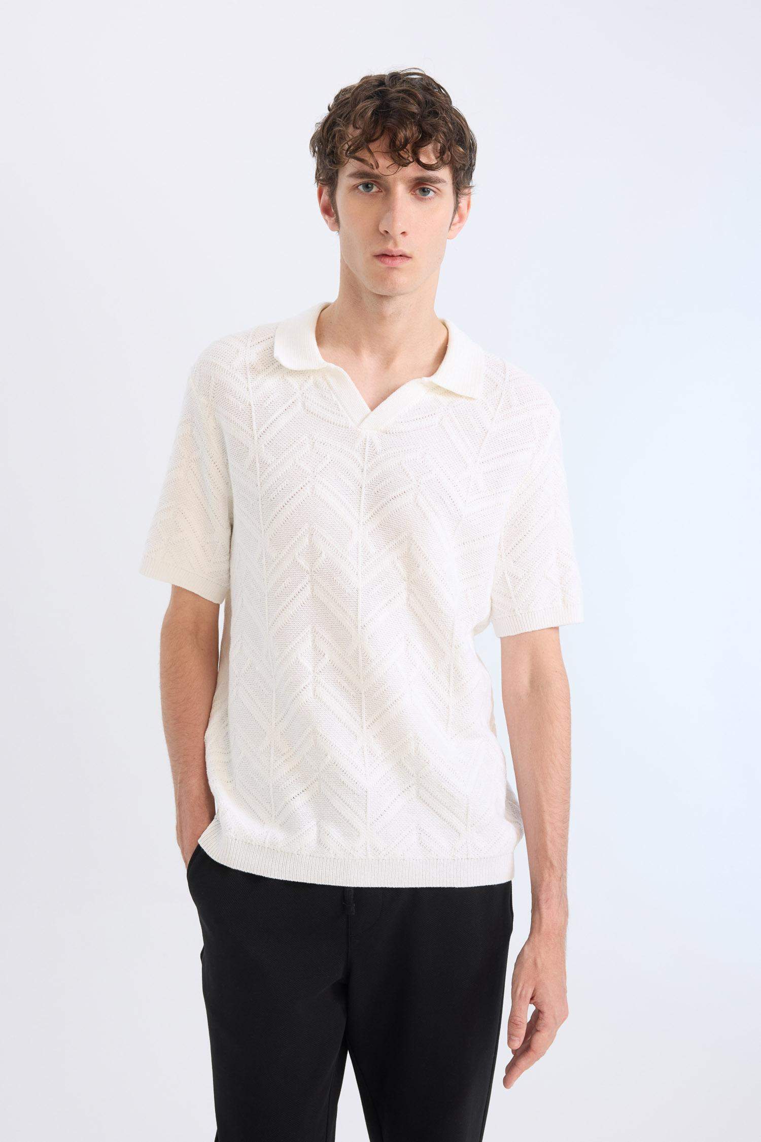 Standart Fit Polo Yaka Triko Kısa Kollu Tişört