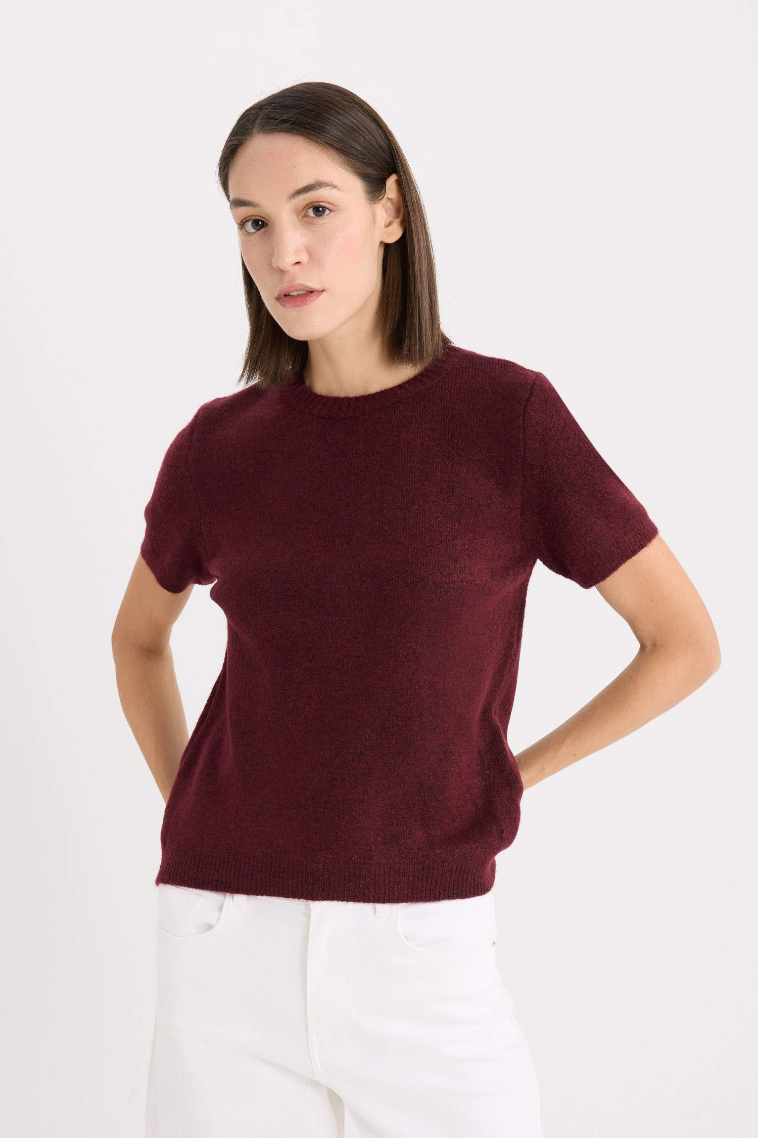 Regular Fit Bisiklet Yaka Basic Düz Triko Kısa Kollu Tişört  Kazak