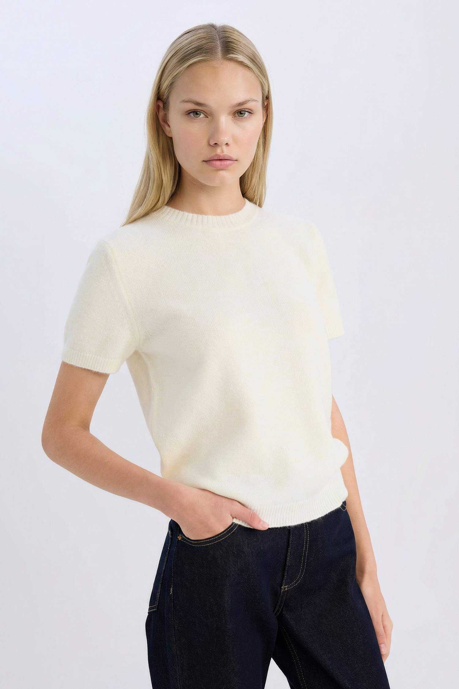 Regular Fit Crew Neck Basic Knitted Pullover