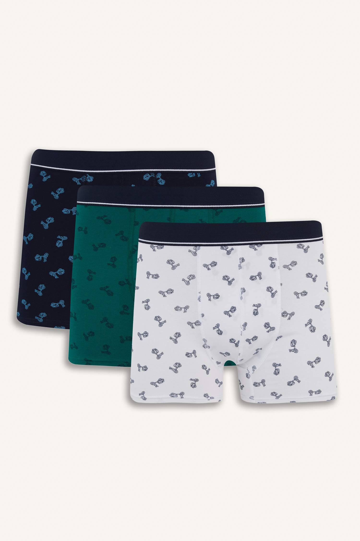 Regular Fit Patterned 3 Piece Boxers