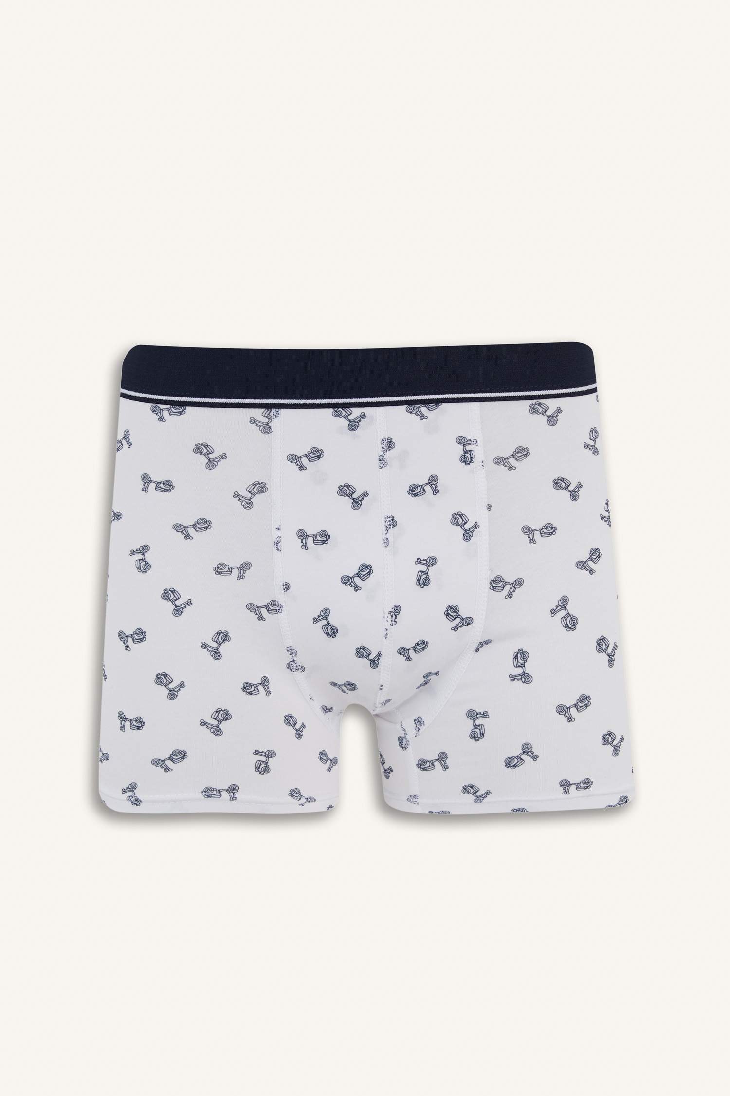 Regular Fit Patterned 3 Piece Boxers