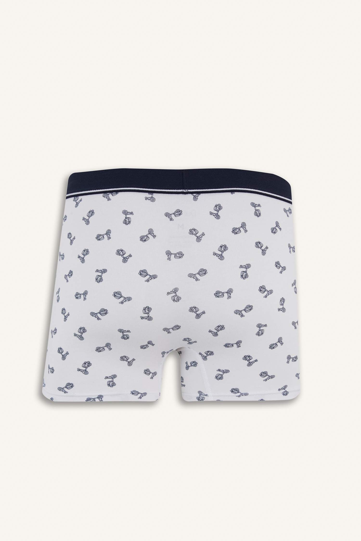 Regular Fit Patterned 3 Piece Boxers