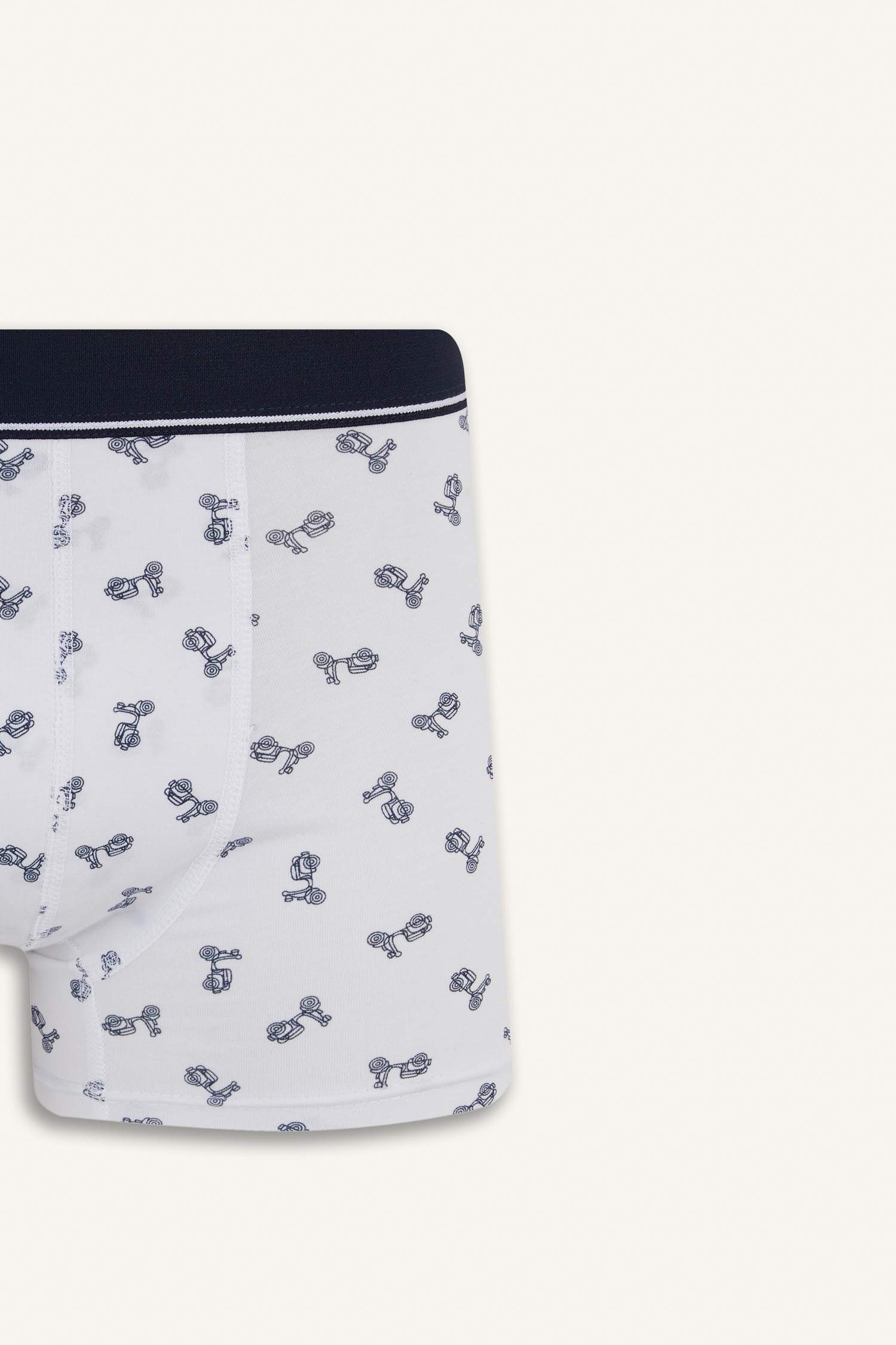 Regular Fit Patterned 3 Piece Boxers