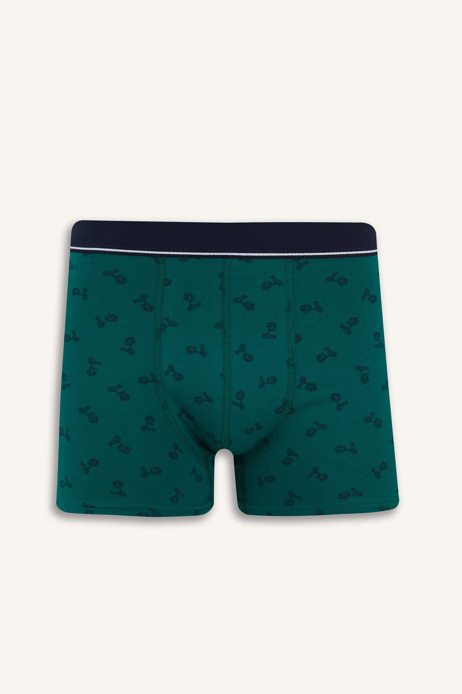 Regular Fit Patterned 3 Piece Boxers