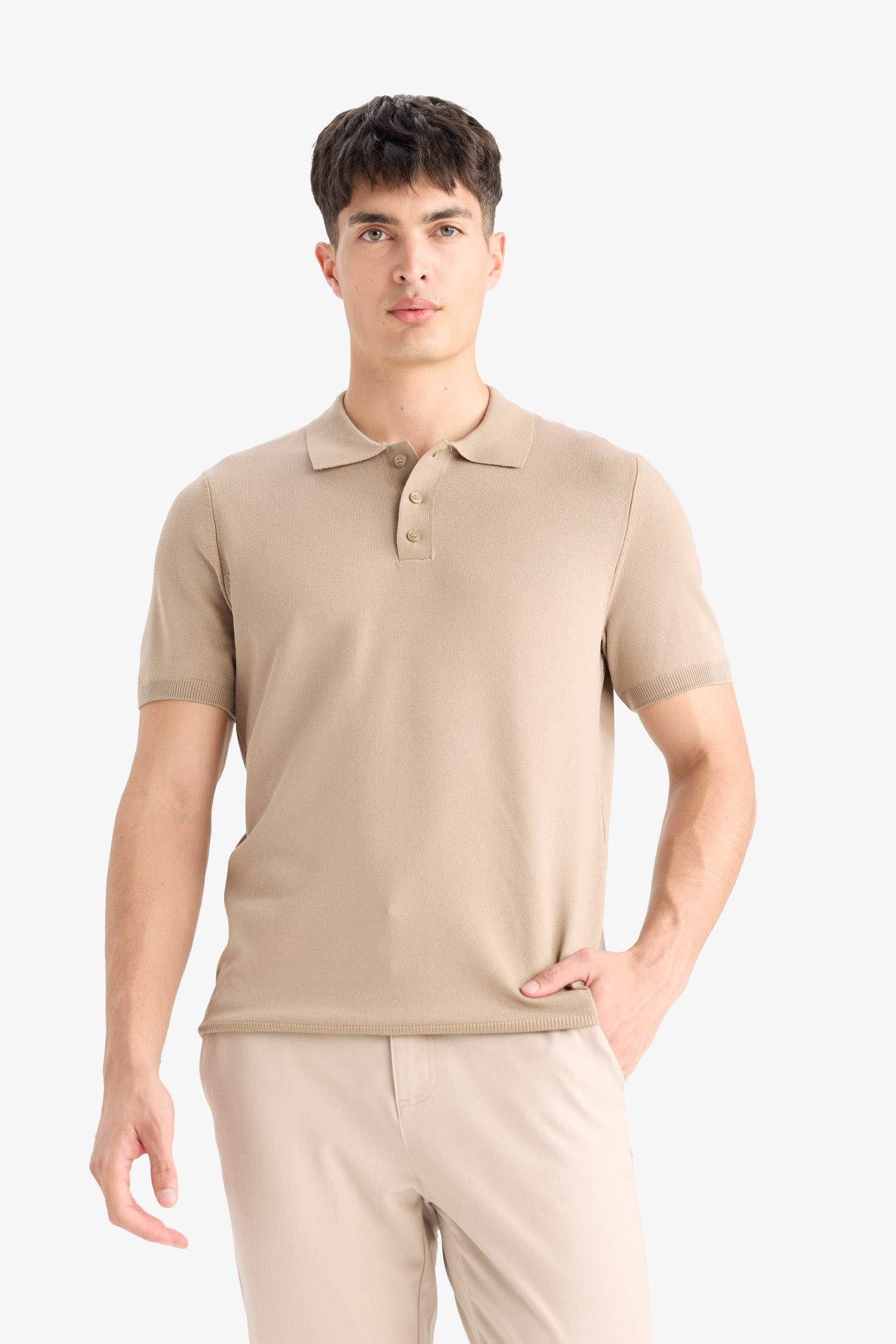 Standart Fit Polo Yaka Kısa Kollu Triko Tişört