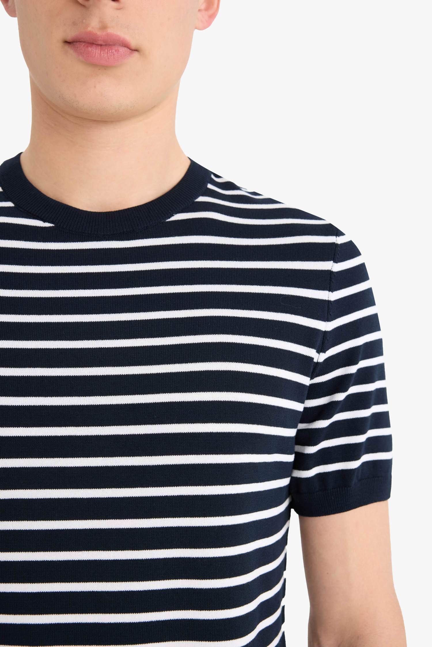 Standard Fit Crew Neck Striped Knit T-Shirt