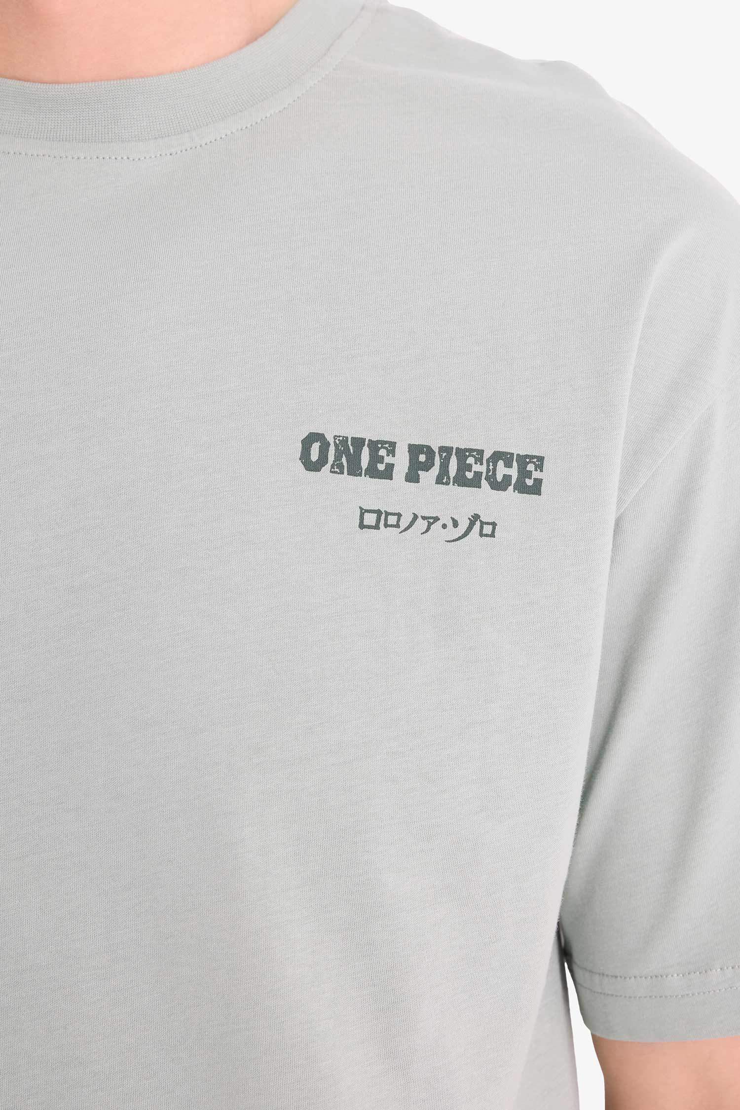 Boxy Fit One Piece Crew Neck Printed Short Sleeve T-Shirt