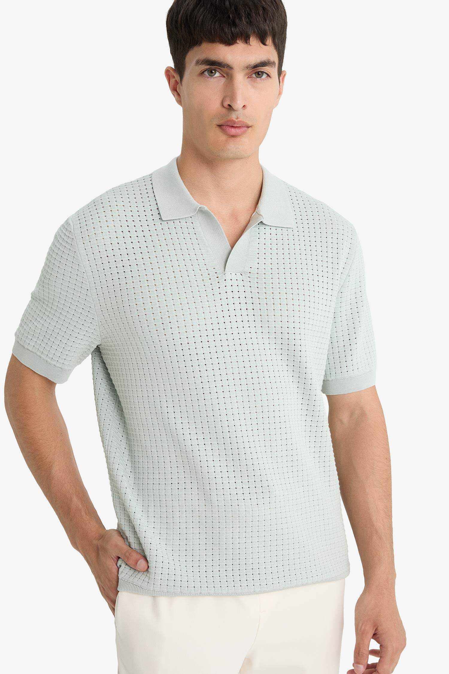 Standard Fit Knit Polo T-Shirt