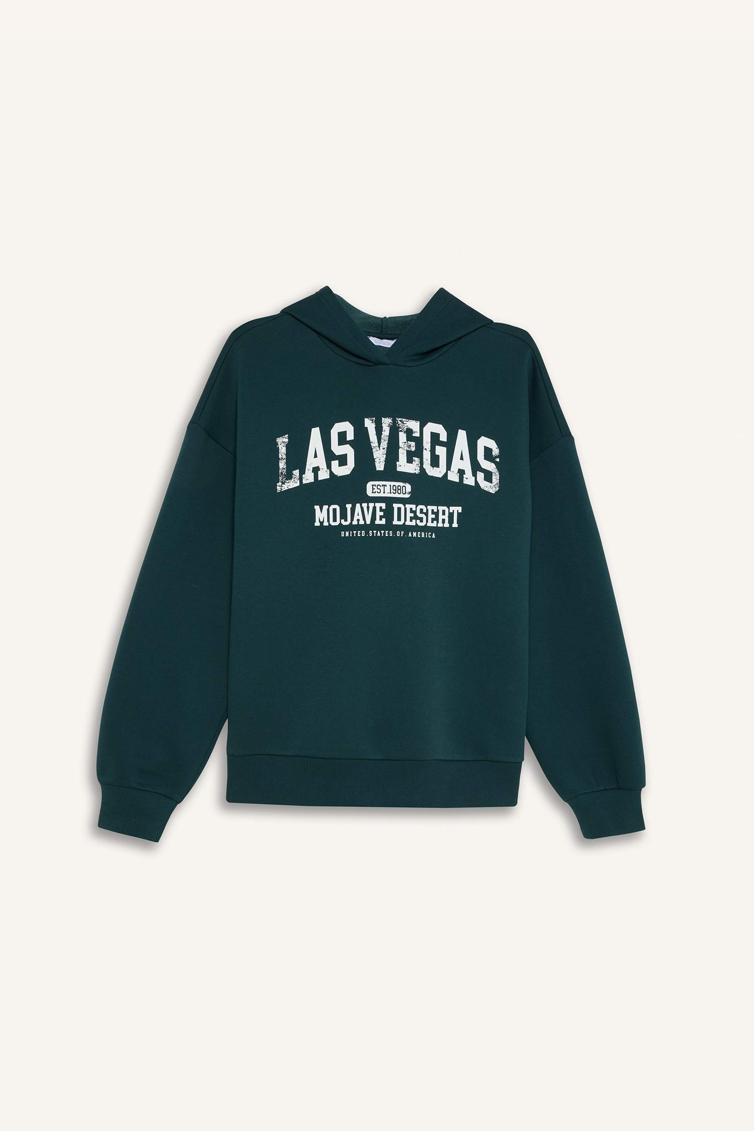 Regular Fit Kapüşonlu Baskılı Kalın Sweatshirt