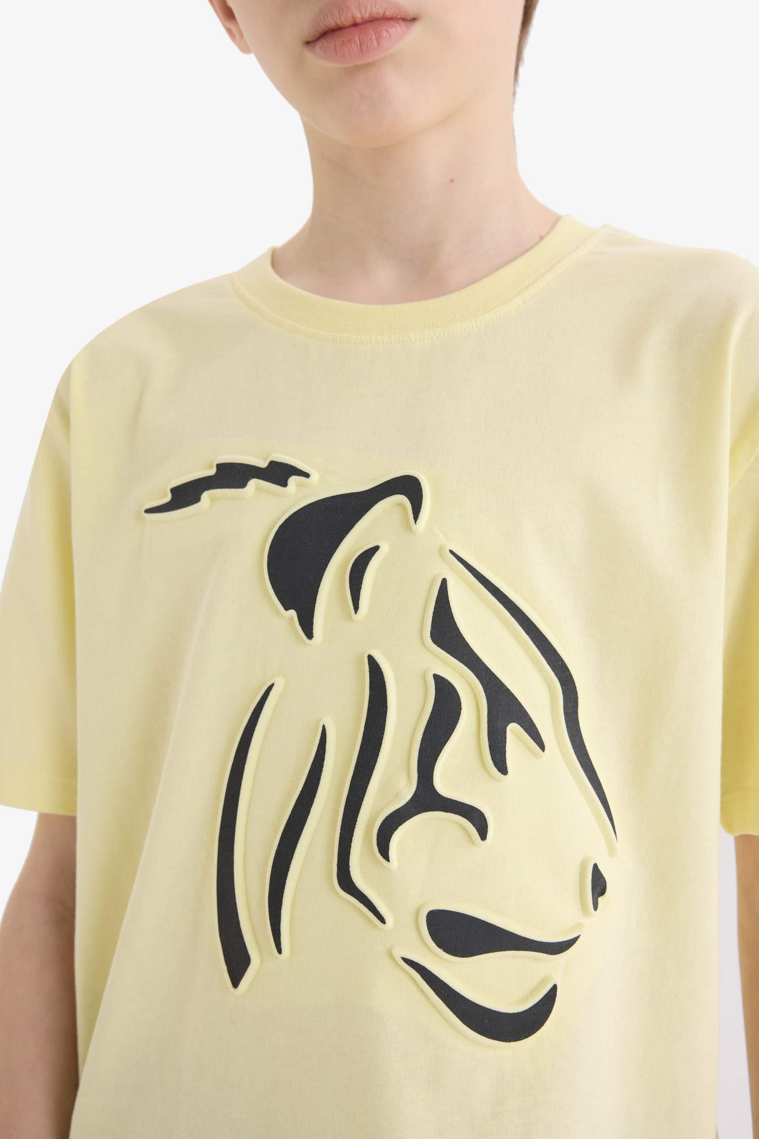 Комплект для мальчика из 2-х предметов: футболка с коротким рукавом и рисунком, шорты на резинке