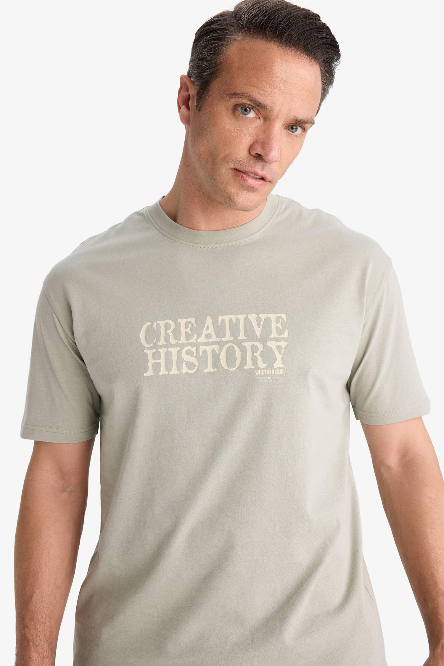 Cotton Regular Fit Crew Neck Printed T-Shirt