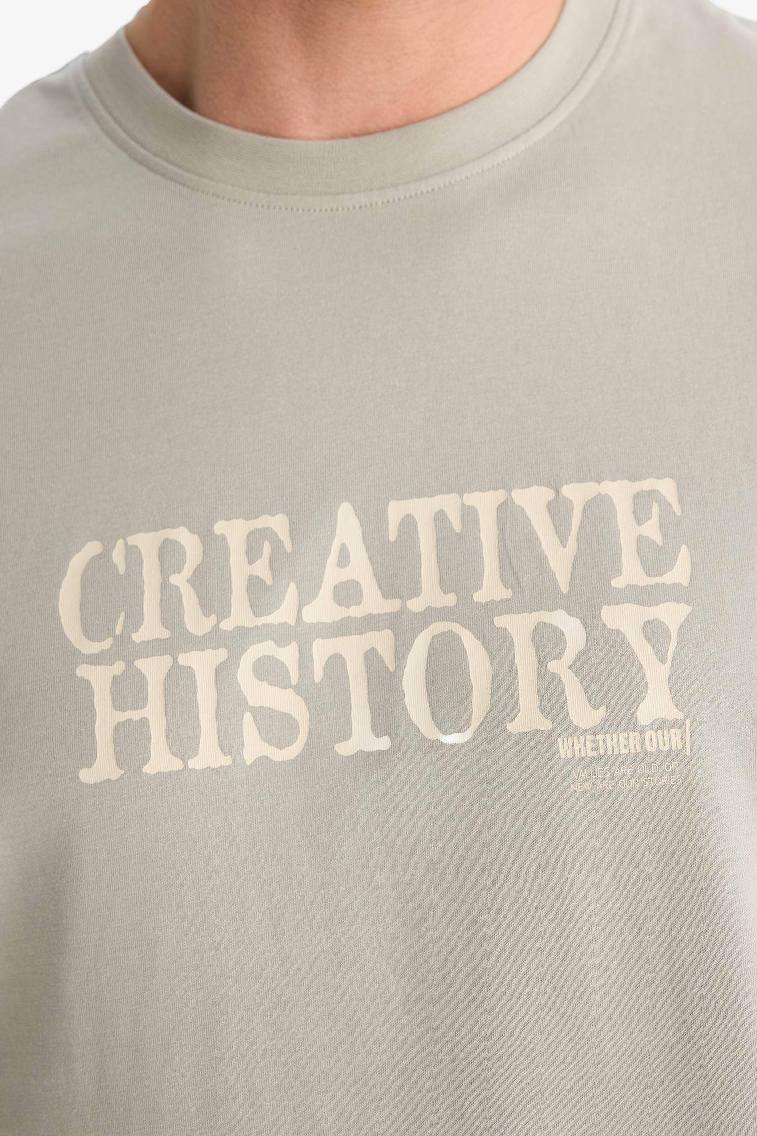 Cotton Regular Fit Crew Neck Printed T-Shirt