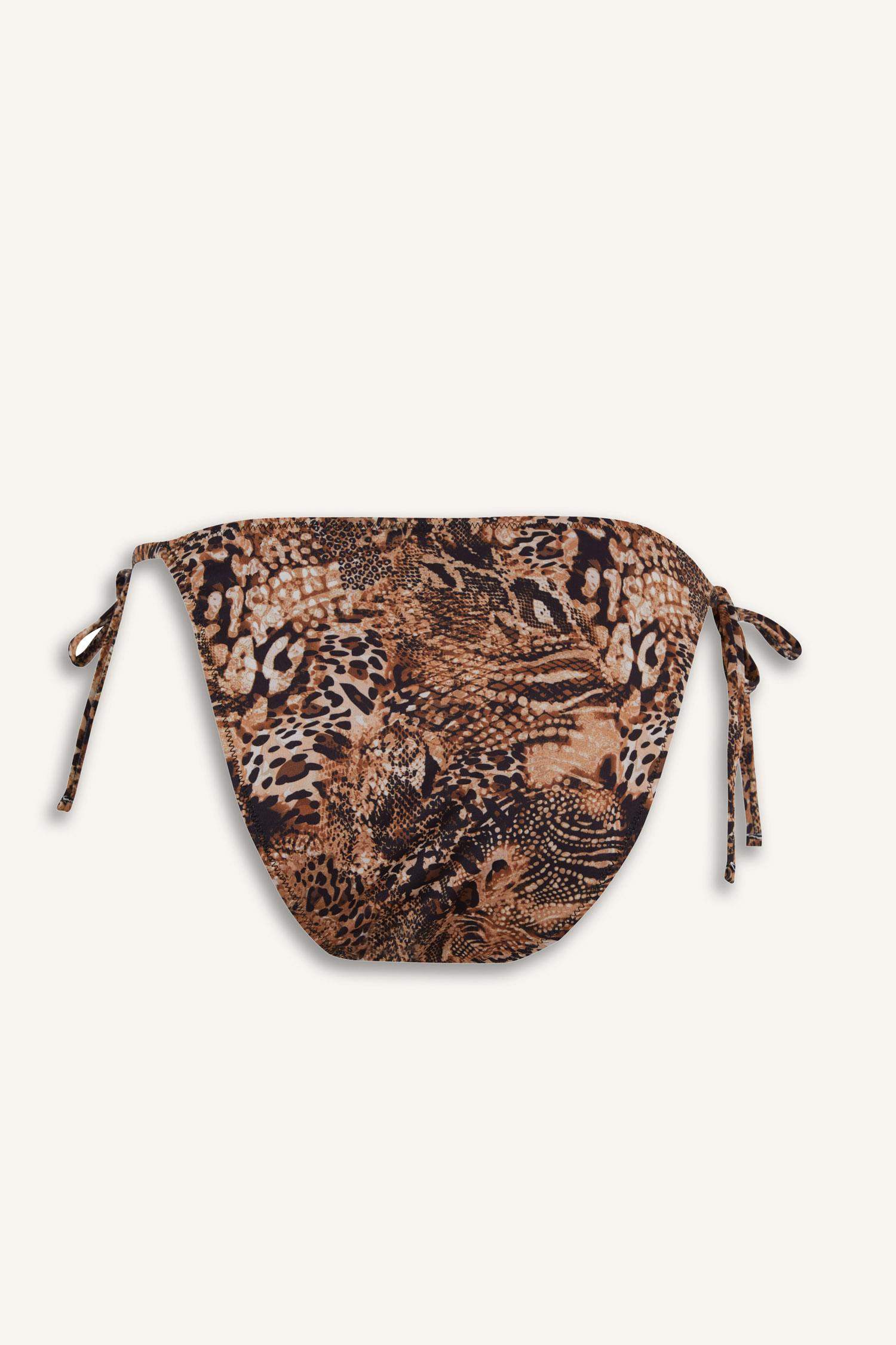 كلوت بكيني تايجر قصة عادية من Fall in Love