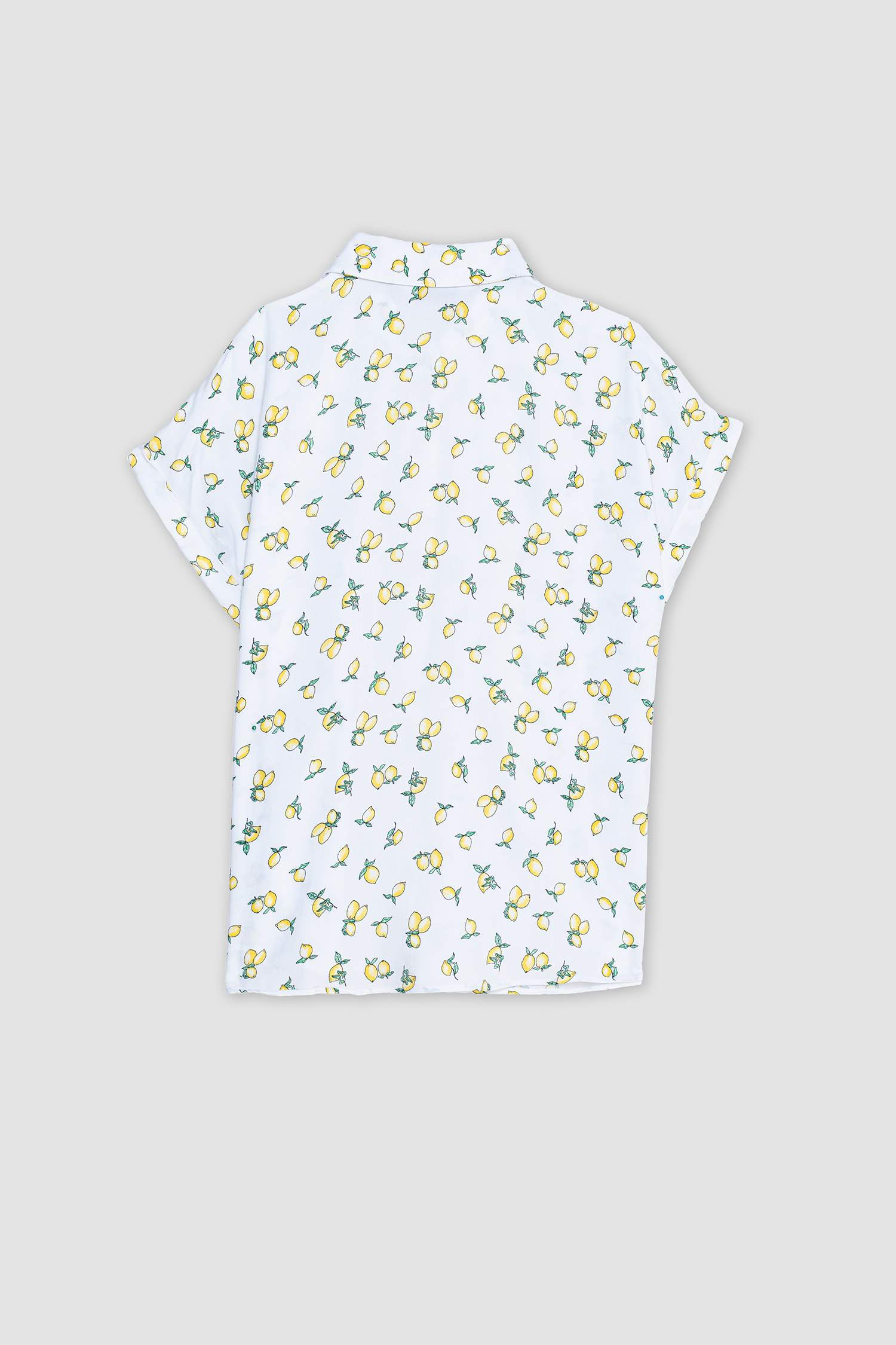 Regular Fit Shirt Collar Viscose Short Sleeve Shirt