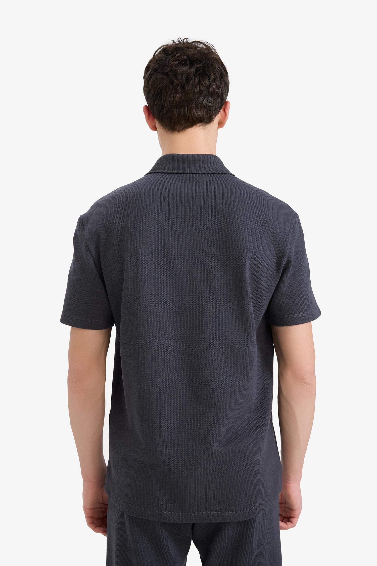 Regular Fit Polo Yaka Kısa Kollu Dokulu Tişört