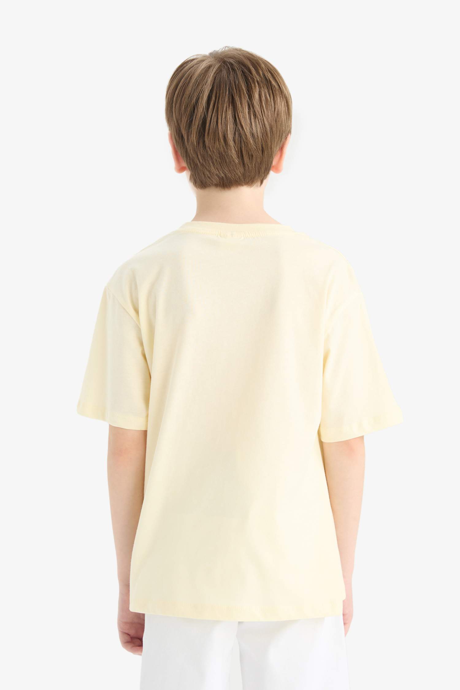 Boy Crew Neck Printed Short Sleeve T-Shirt