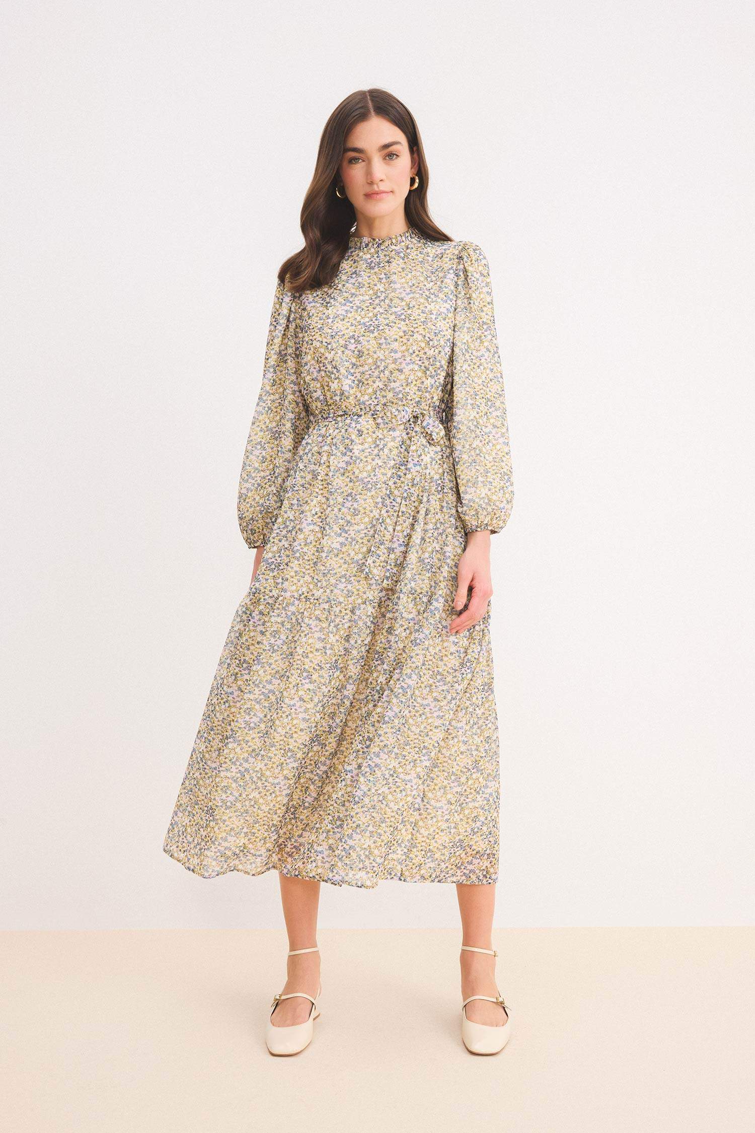Crew Neck Patterned Belted Long Sleeve Midi Dress