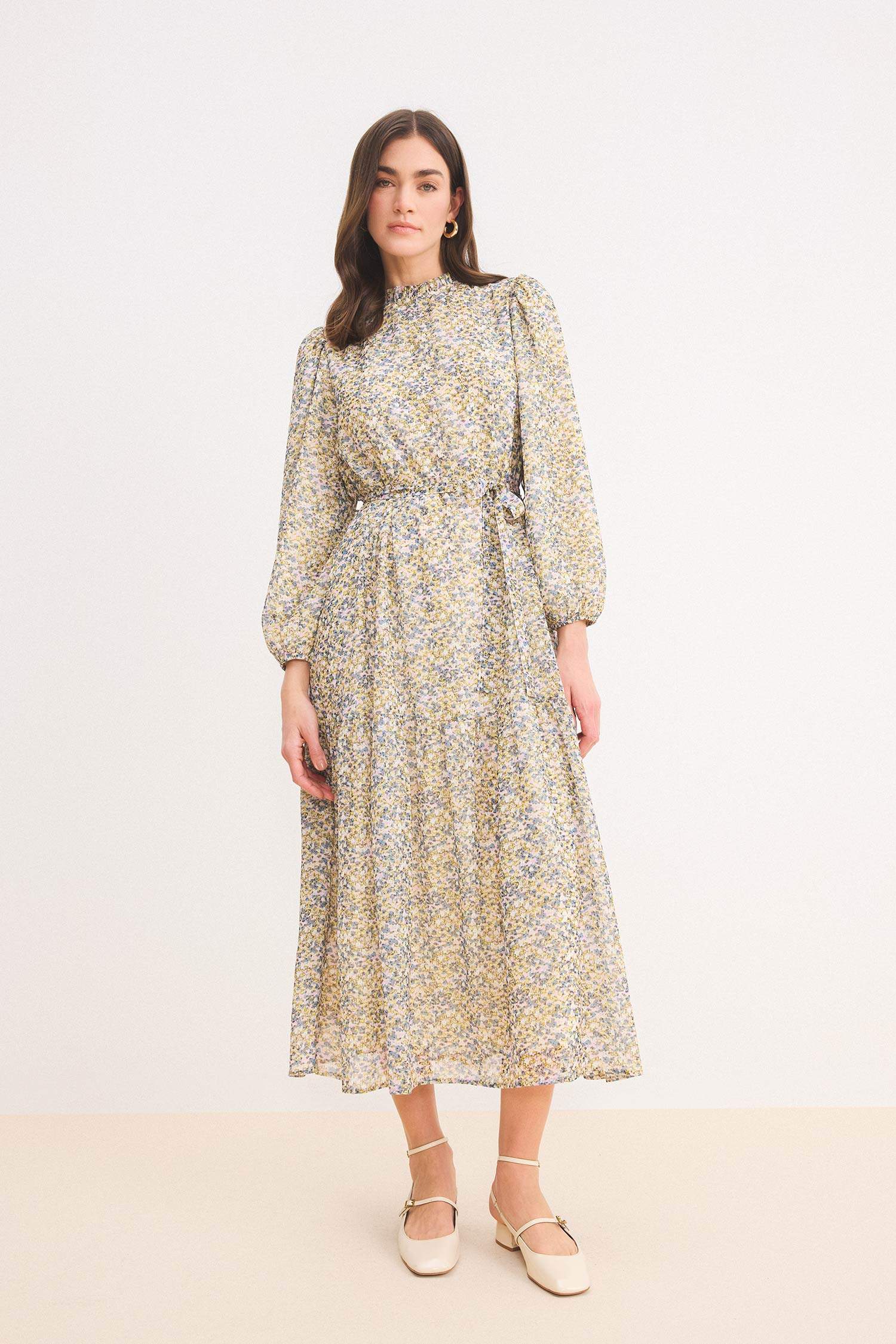 Crew Neck Patterned Belted Long Sleeve Midi Dress
