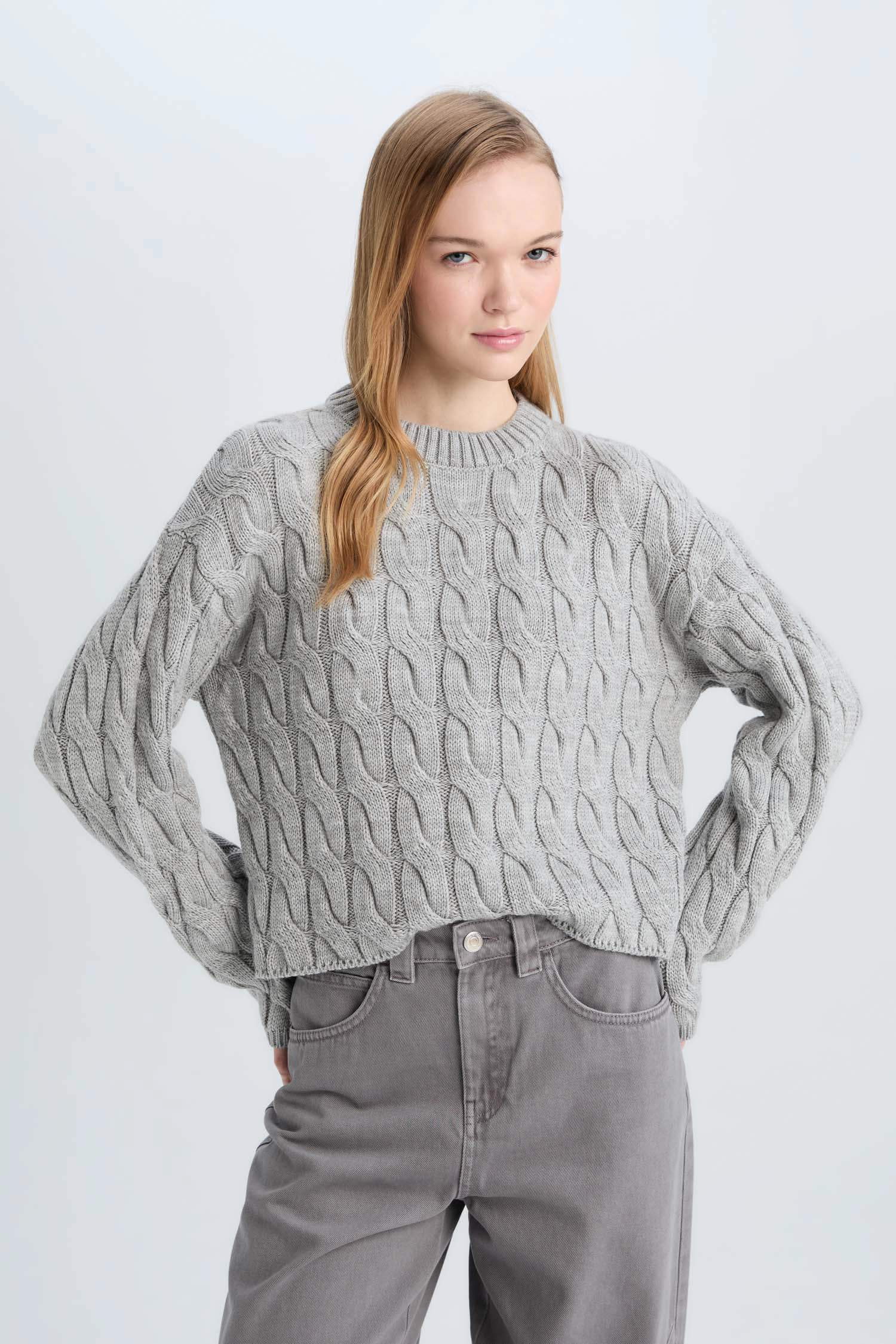 Regular Fit Bisiklet Yaka Saç Örgülü Triko Kazak