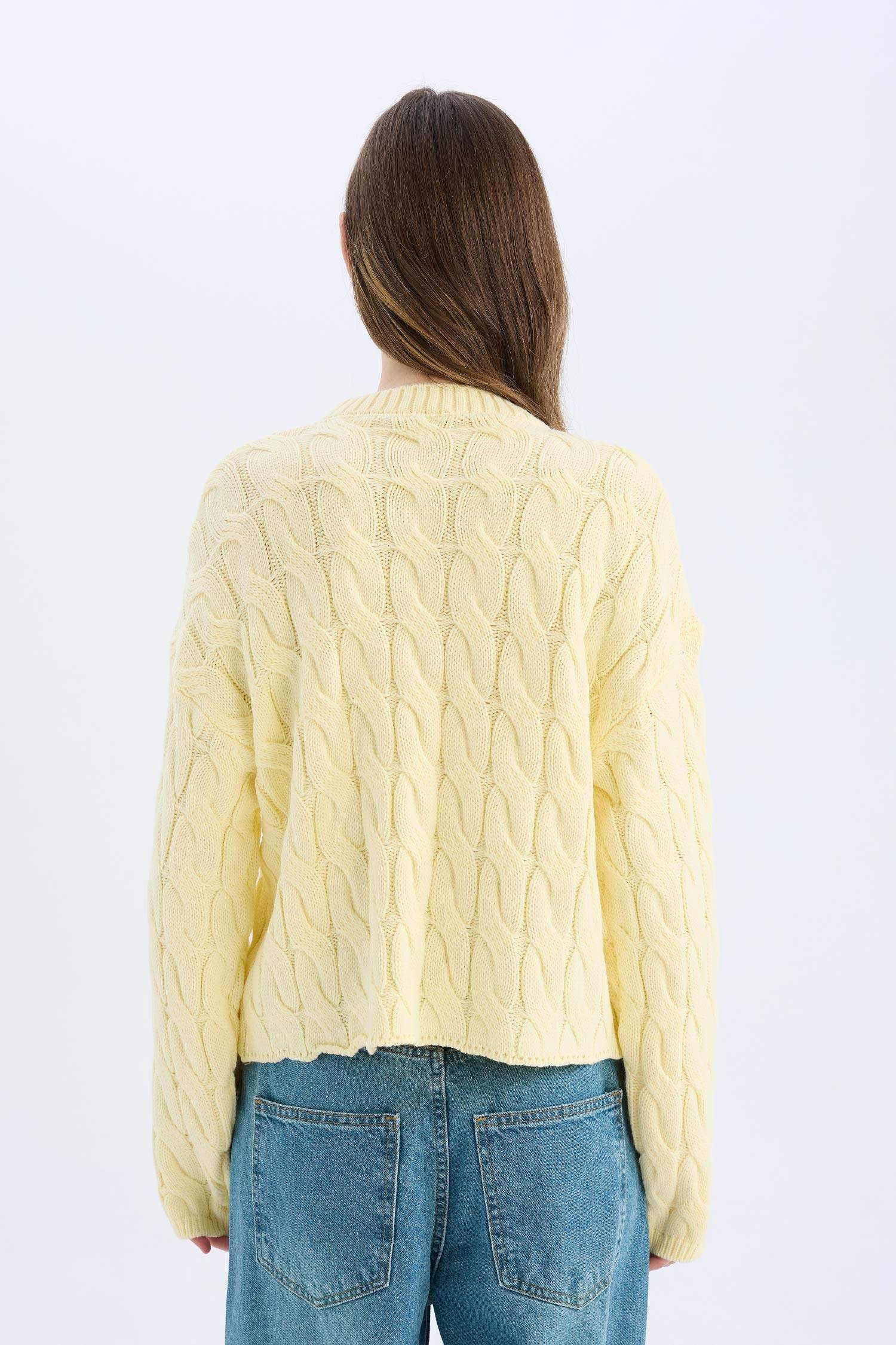 Coool Regular Fit Bisiklet Yaka Saç Örgülü Triko Kazak