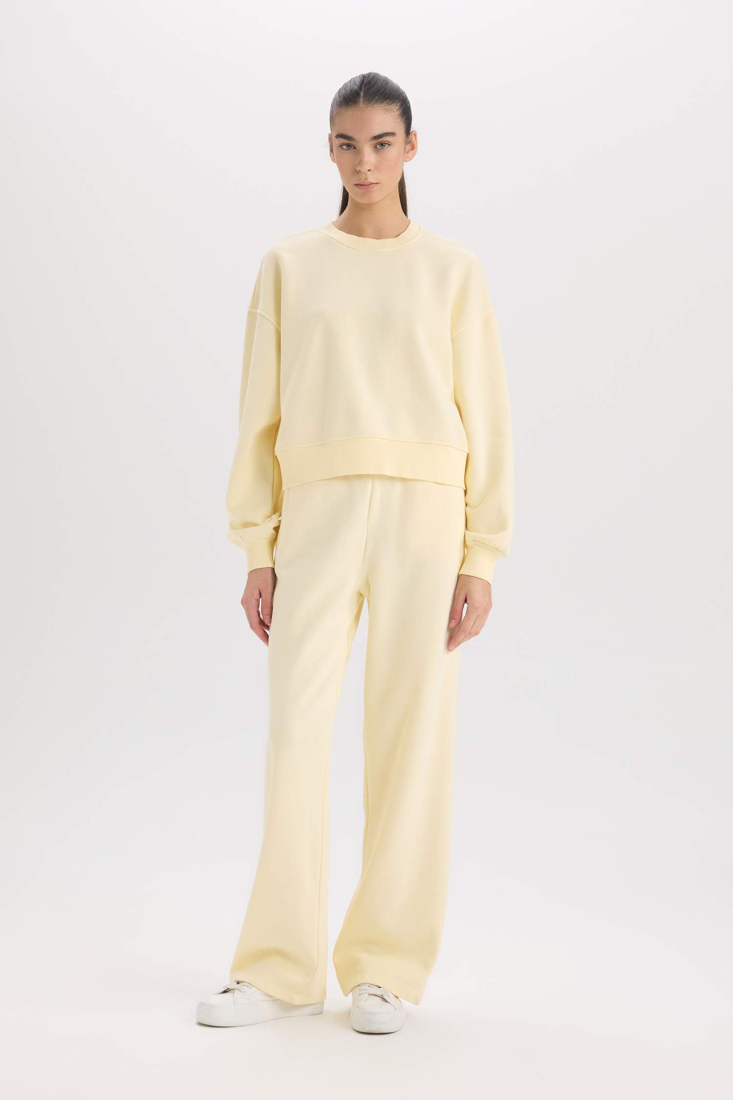 Boxy Fit Crew Neck Basic Thick Sweatshirt