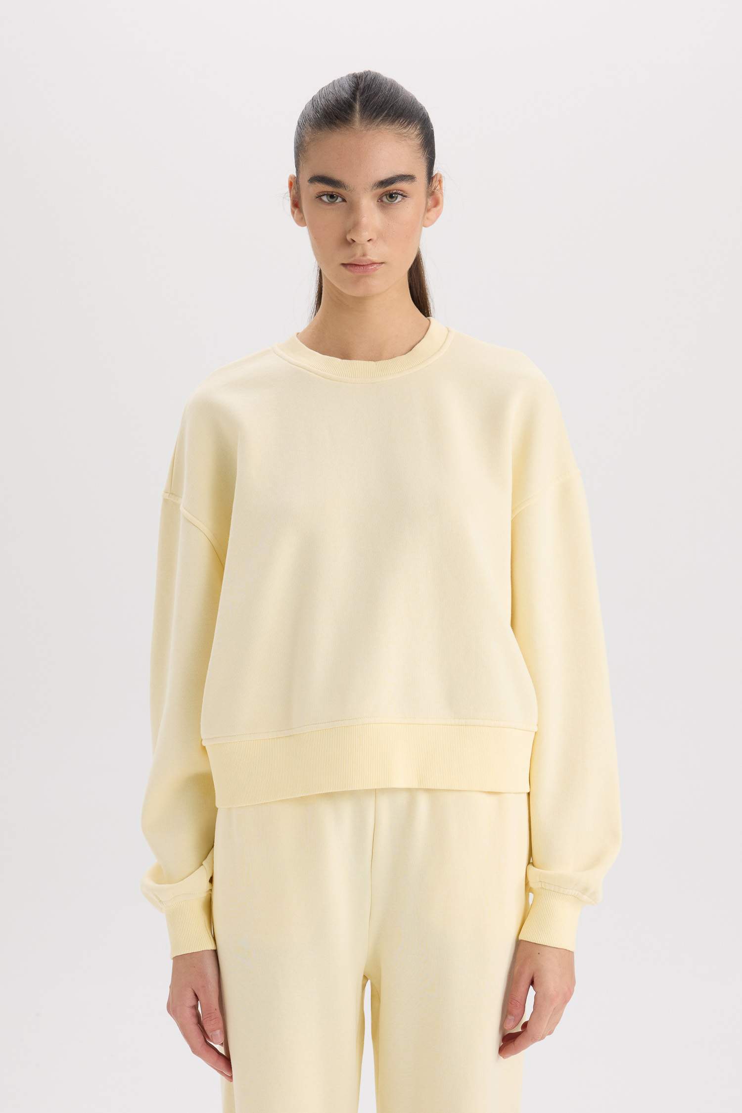 Boxy Fit Crew Neck Basic Thick Sweatshirt