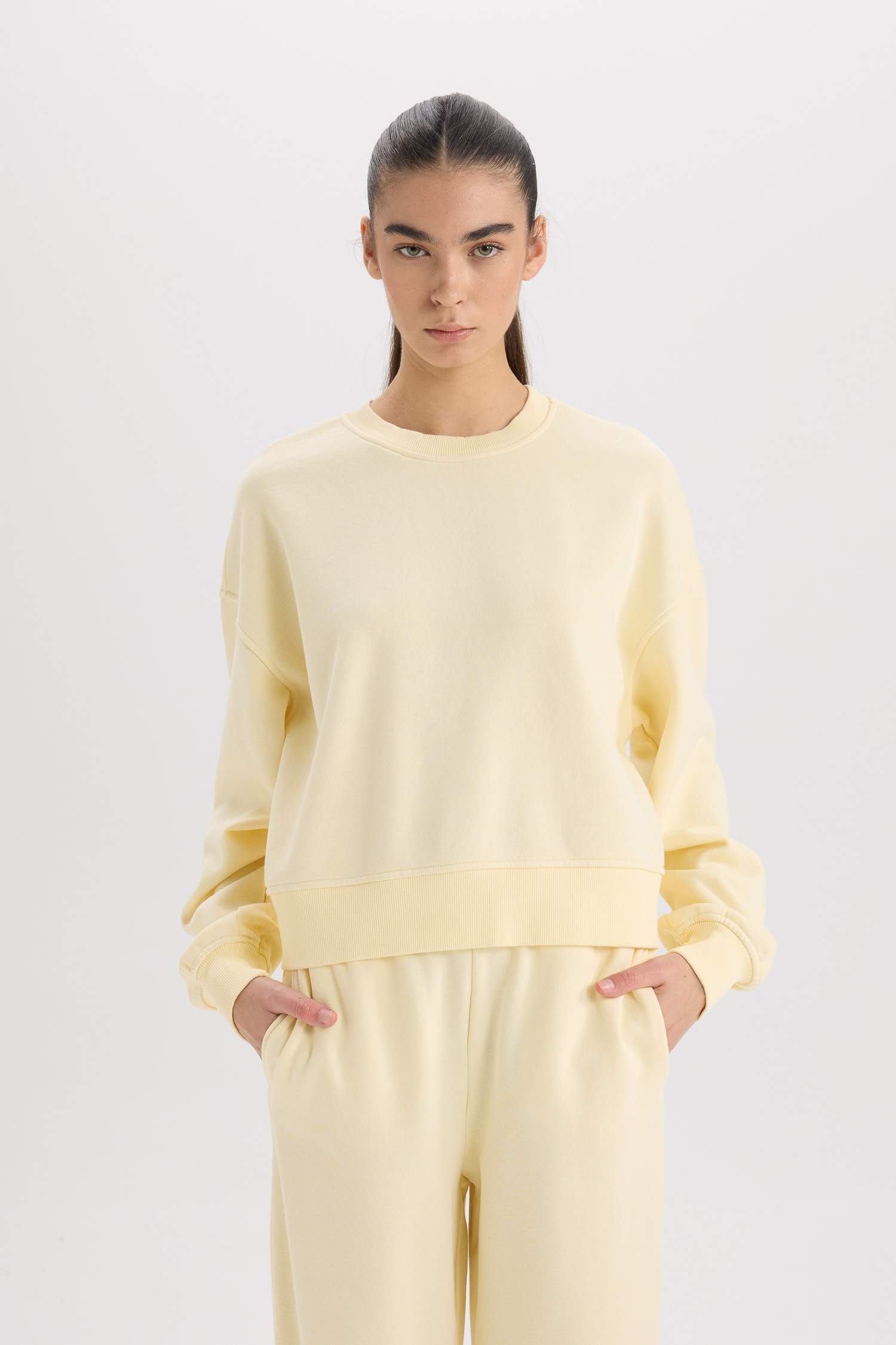 Boxy Fit Crew Neck Basic Thick Sweatshirt