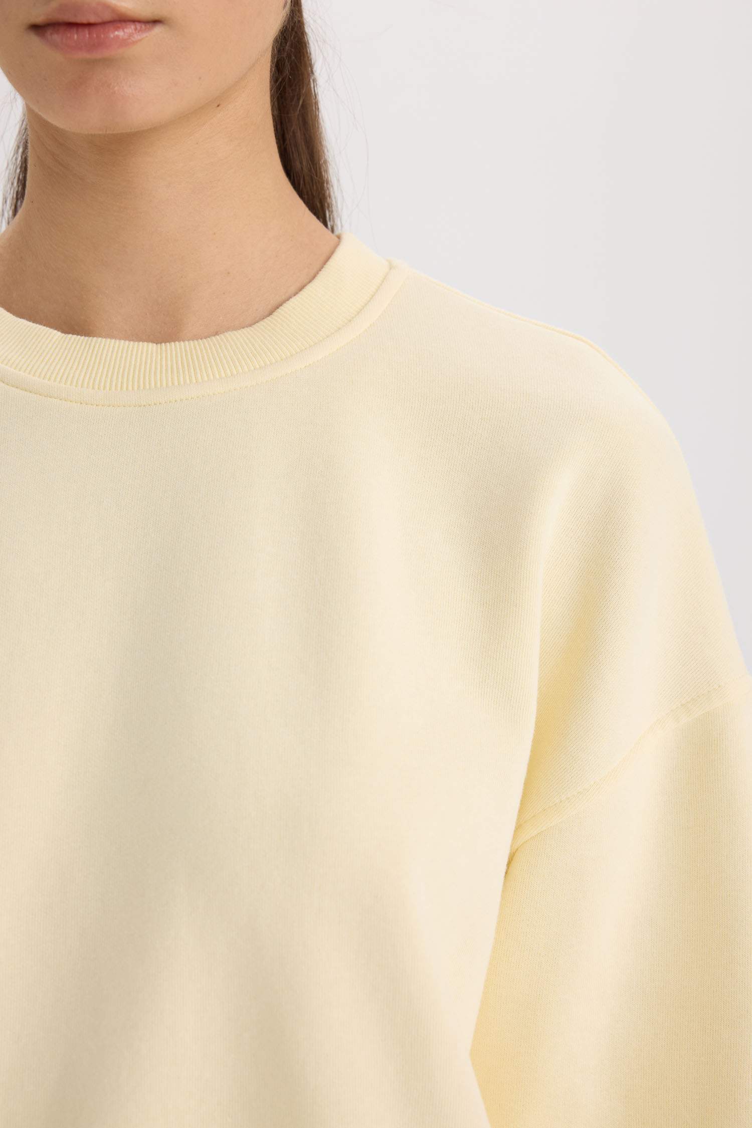 Boxy Fit Crew Neck Basic Thick Sweatshirt