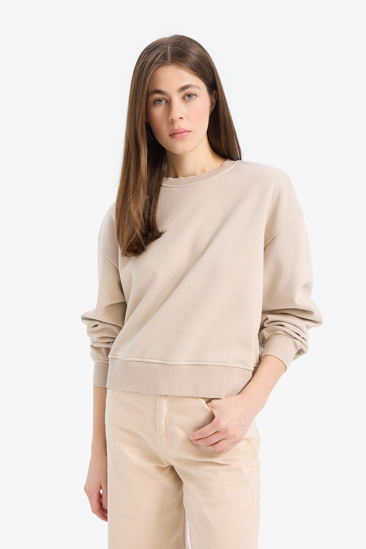 Boxy Fit Crew Neck Basic Thick Sweatshirt