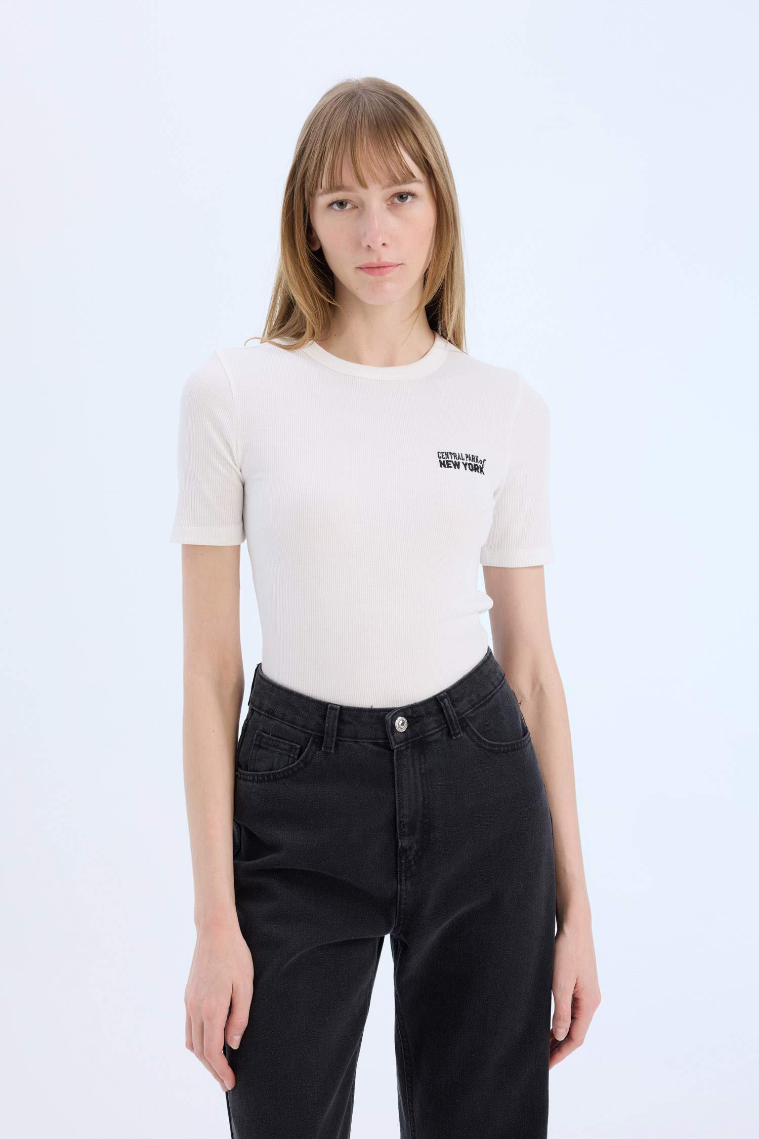 Slim Fit Crew Neck Printed Casual T-Shirt