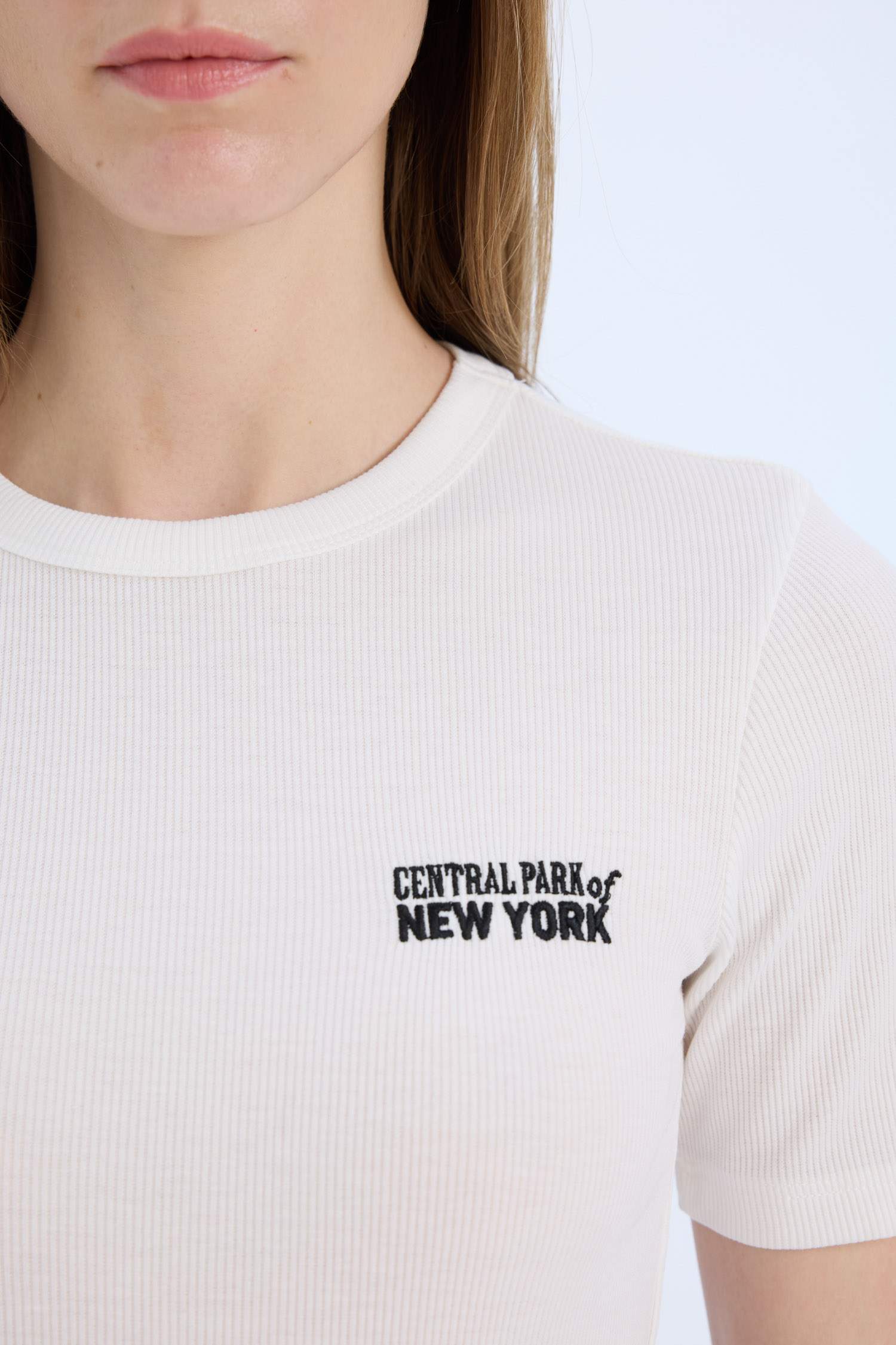 Slim Fit Crew Neck Printed Casual T-Shirt