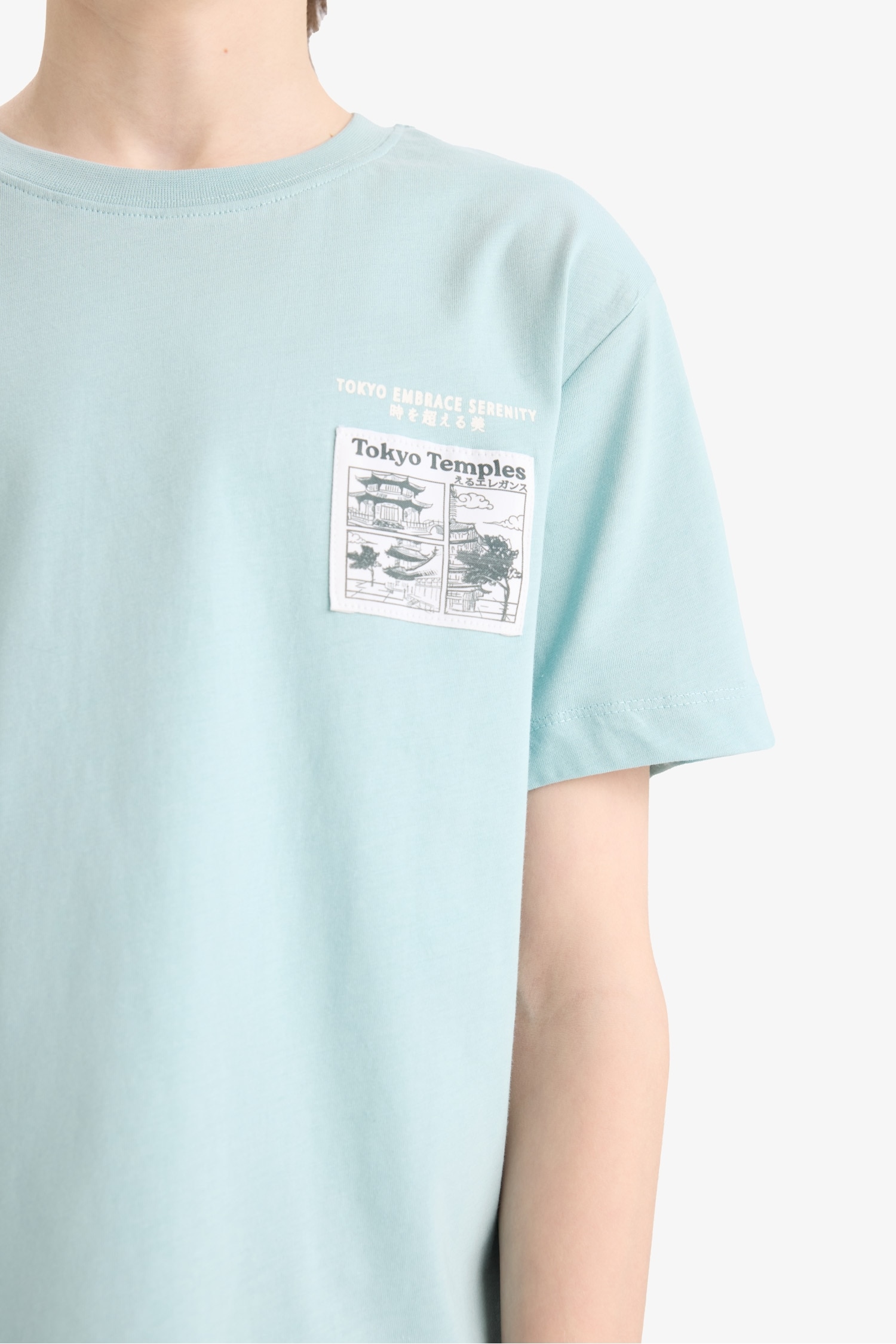 Boy Printed Crew Neck Short Sleeve T-Shirt