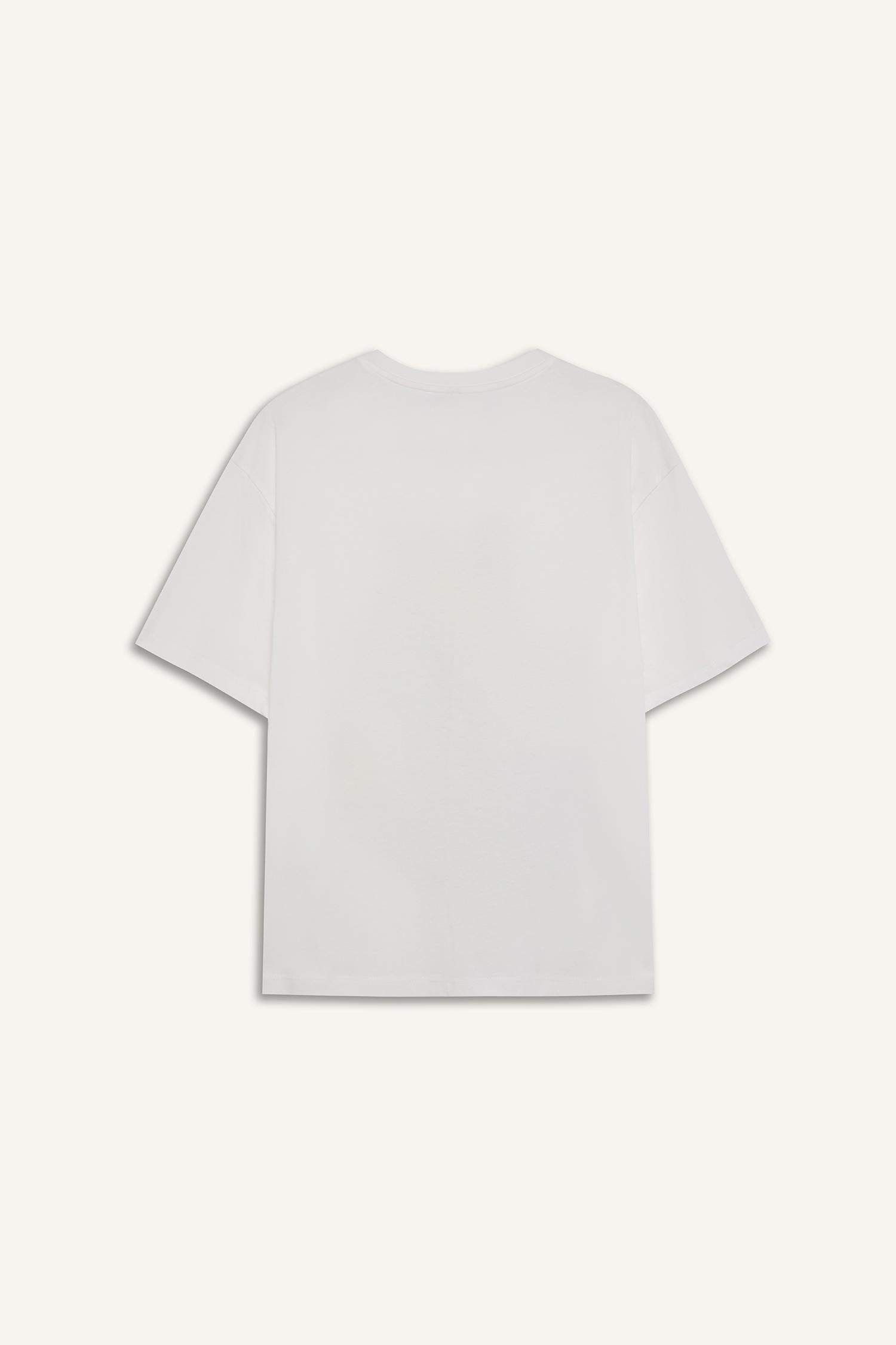 Regular Fit Bisiklet Yaka Baskılı Penye Kısa Kollu Tişört