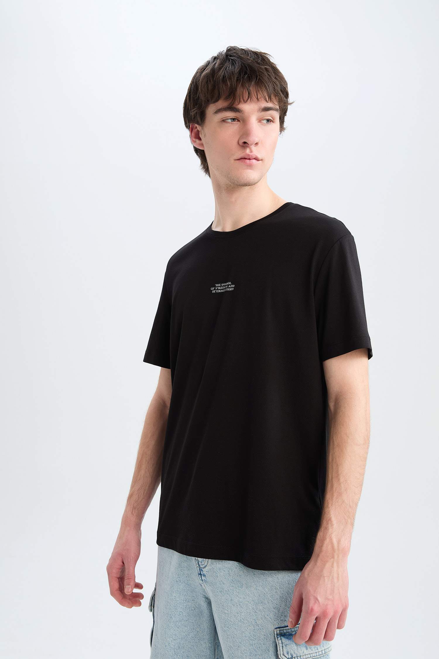 Regular Fit Bisiklet Yaka Baskılı Kısa Kollu Tişört