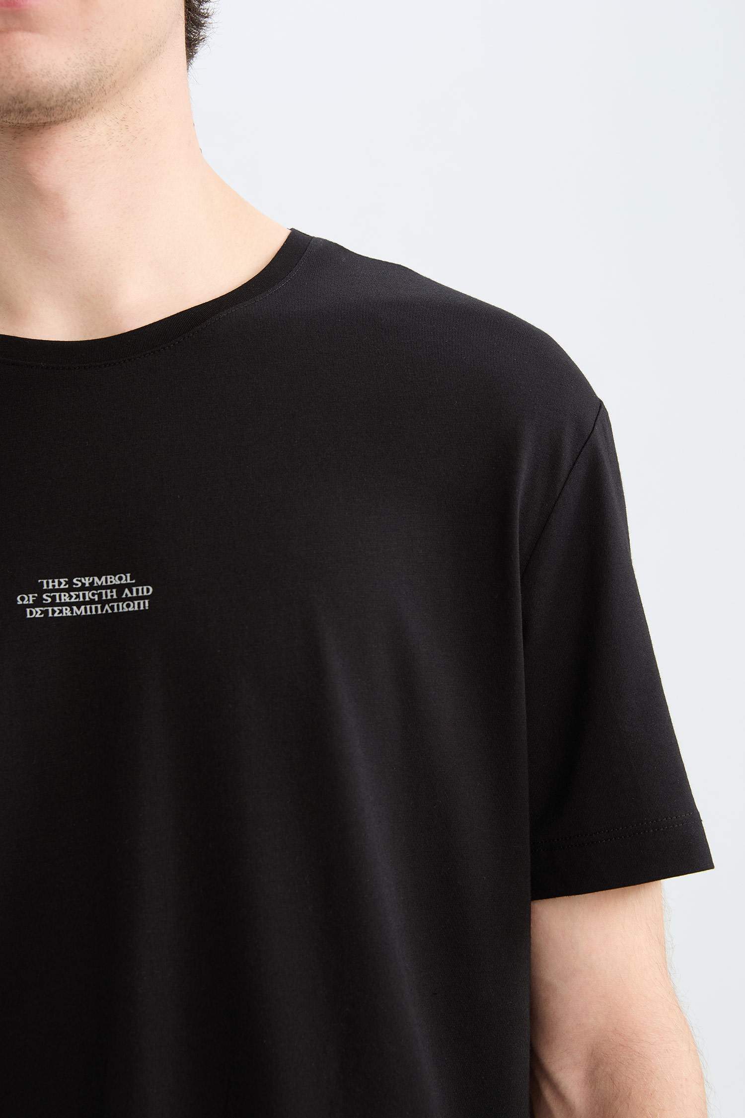 Regular Fit Bisiklet Yaka Baskılı Kısa Kollu Tişört