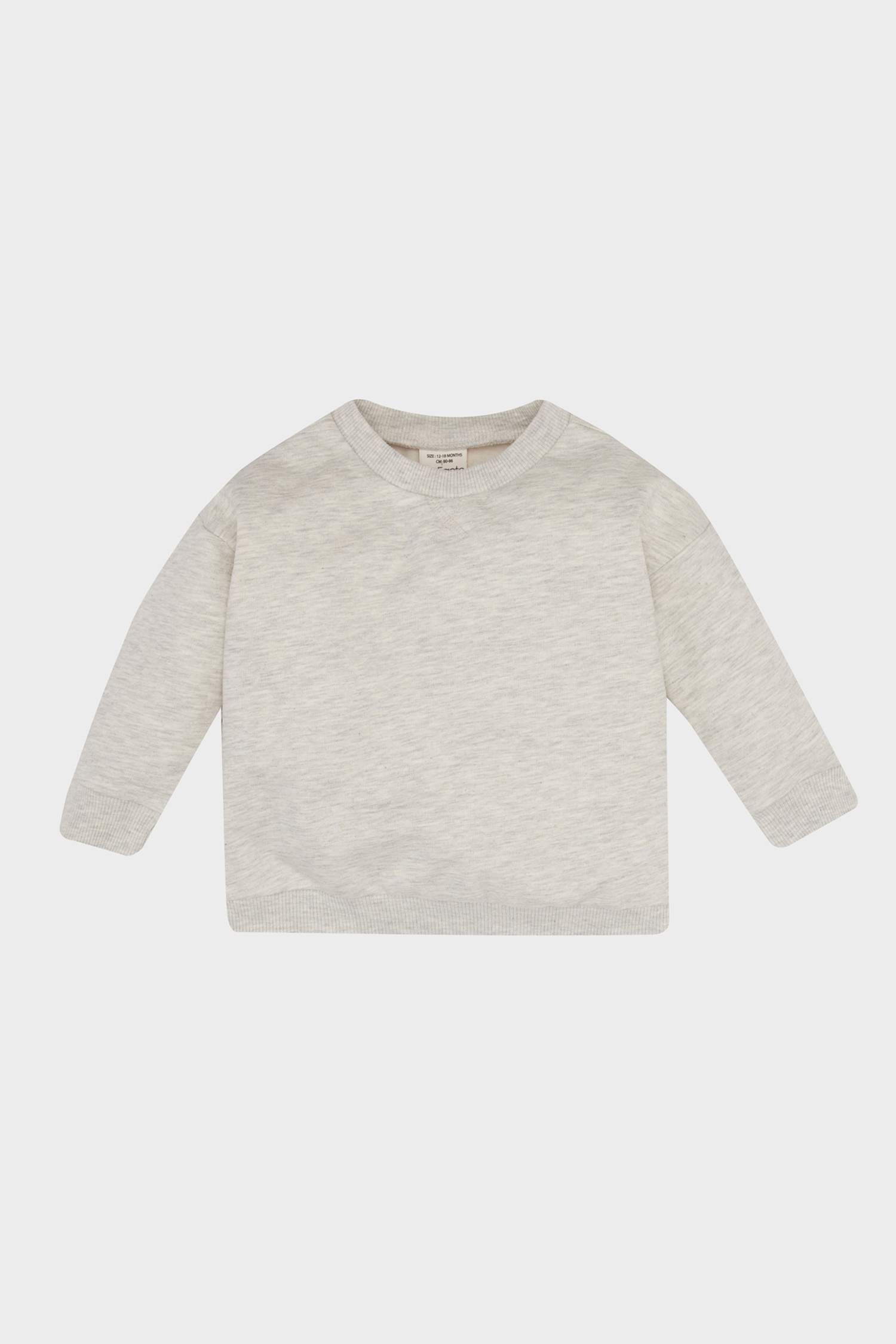 Baby Boy Crew Neck Soft Fluffy Basic Sweatshirt