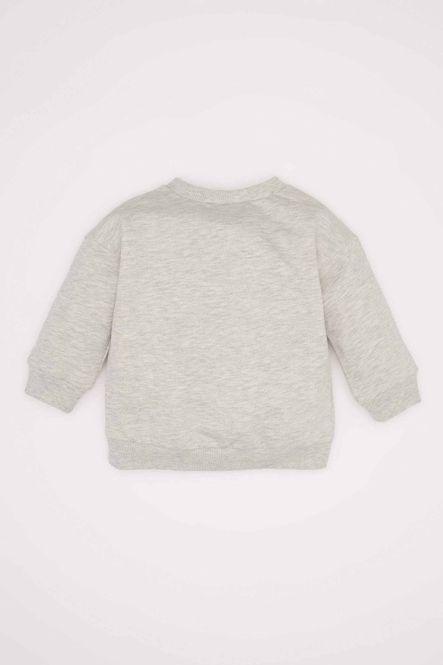 Baby Boy Crew Neck Soft Fluffy Basic Sweatshirt