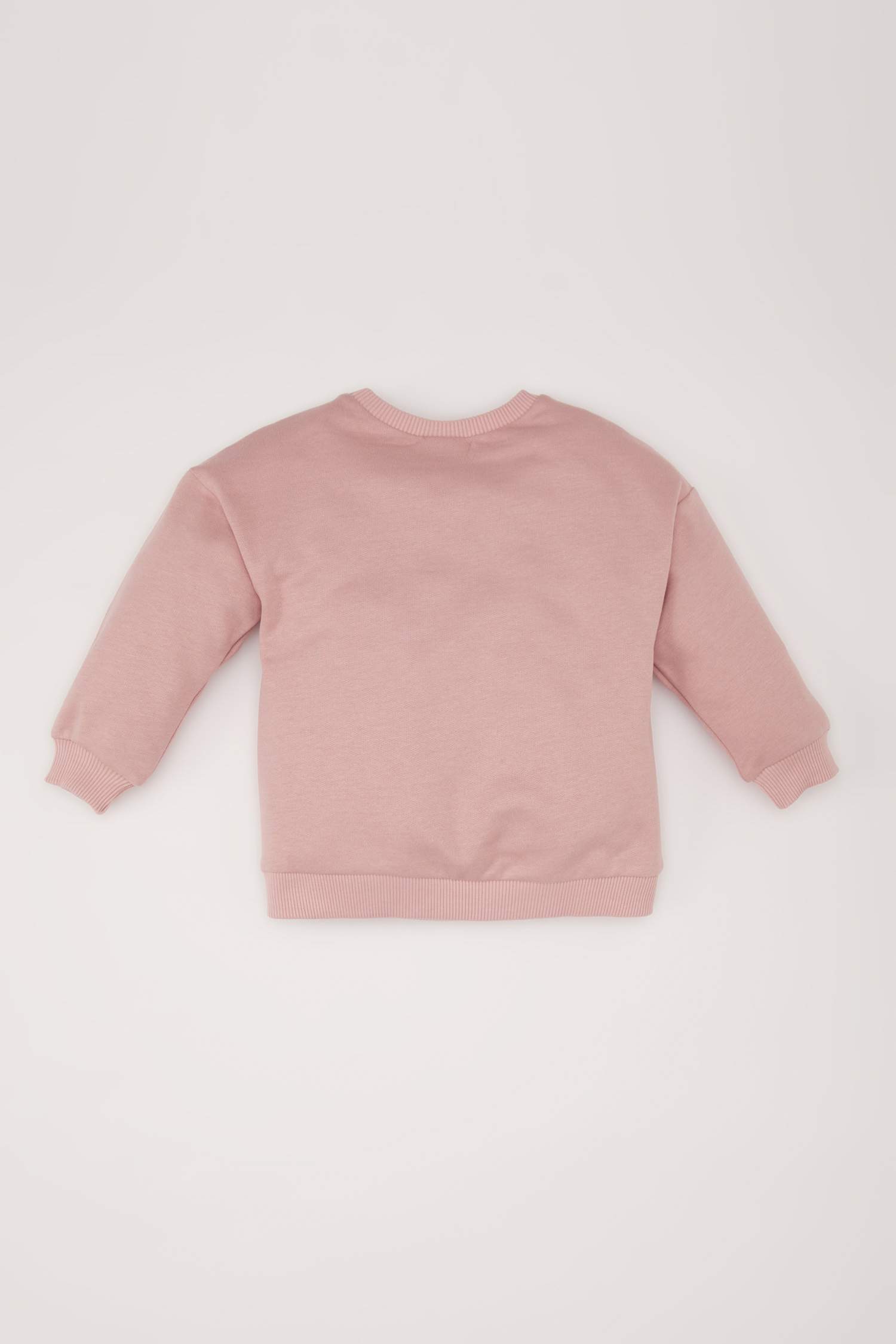 Baby Girl Crew Neck Basic Sweatshirt
