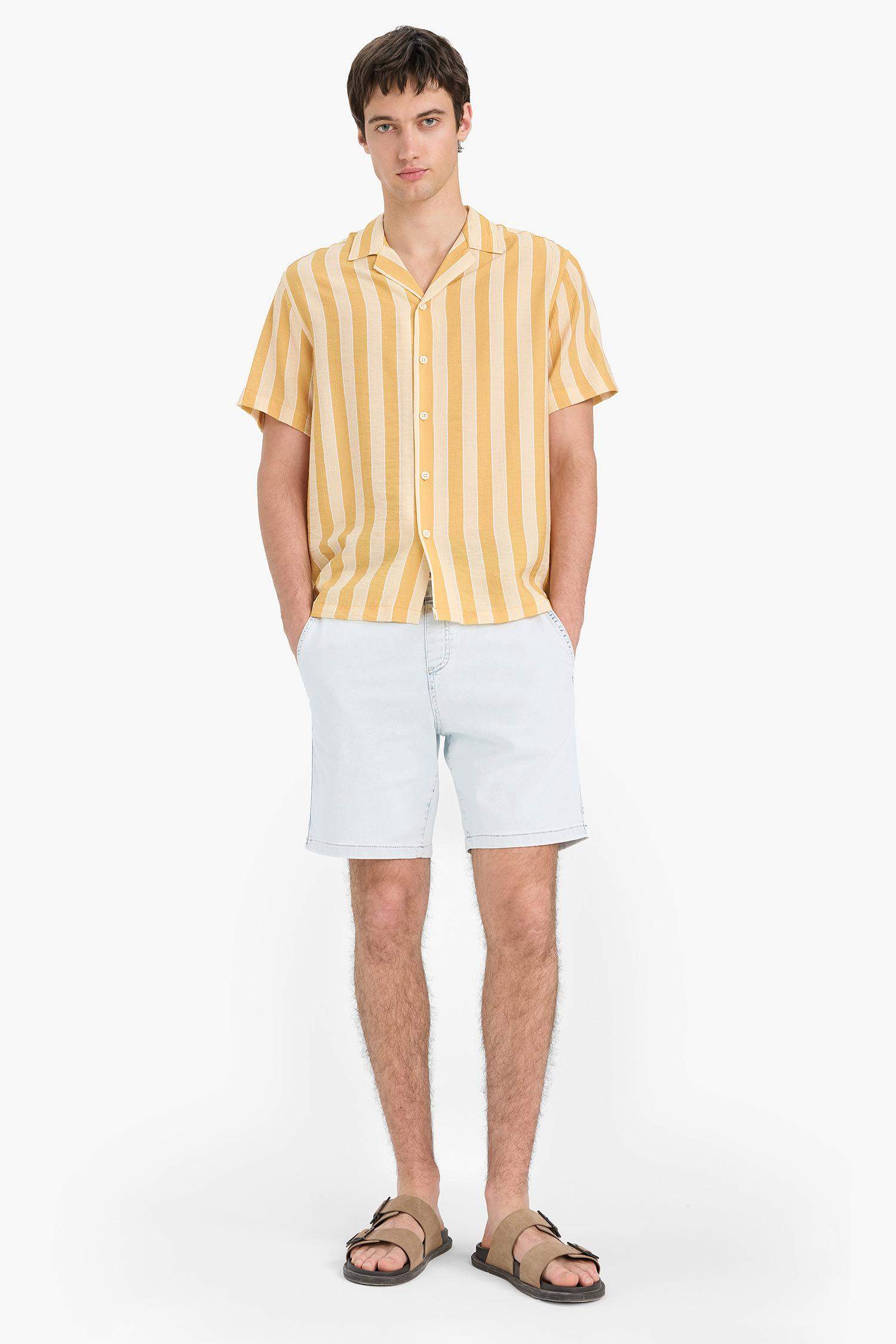 Regular Fit Apaş Yaka Baskılı Çizgili Kısa Kollu Gömlek