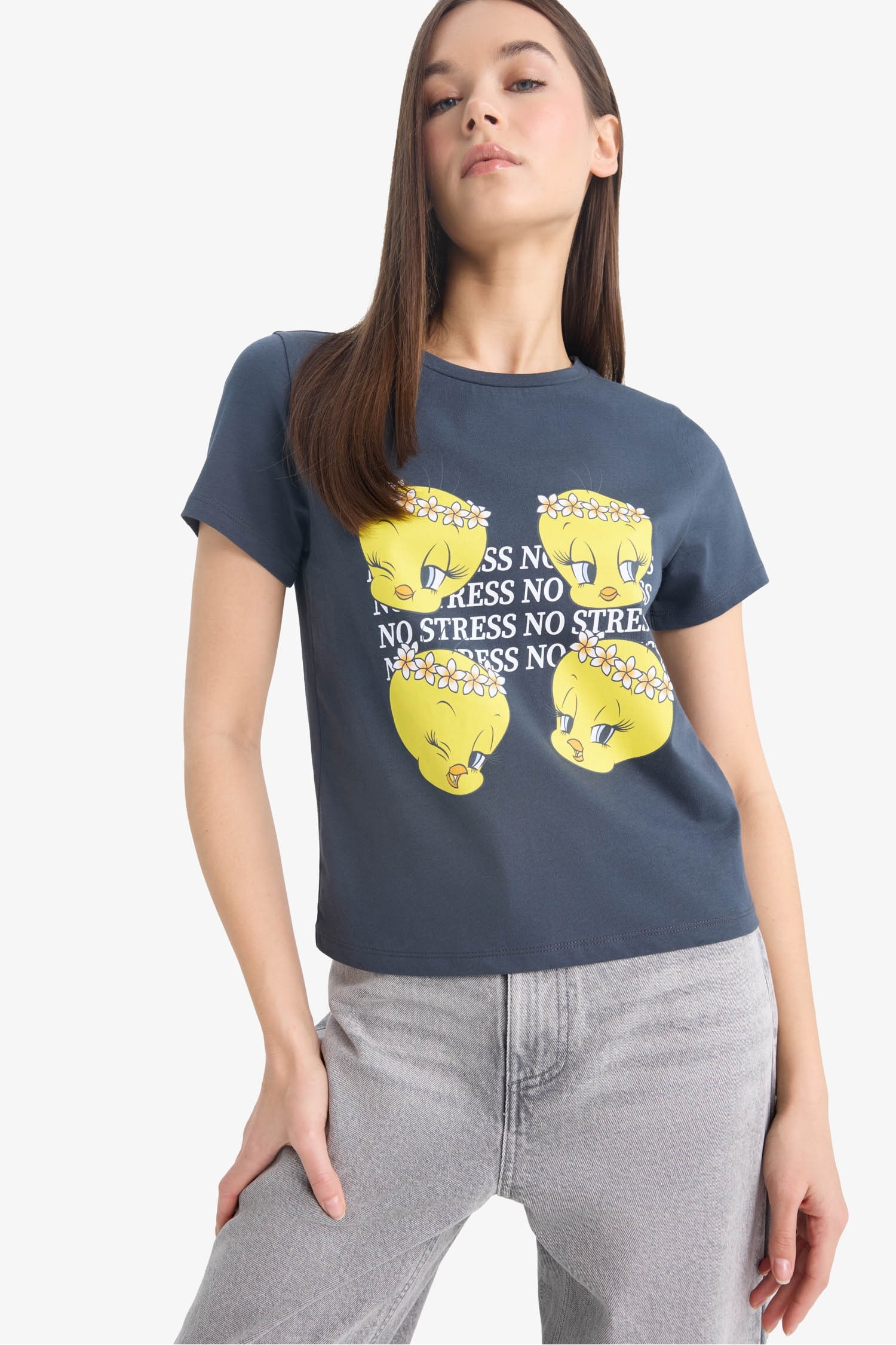 Looney Tunes Regular Fit Bisiklet Yaka Baskılı Kısa Kollu Tişört